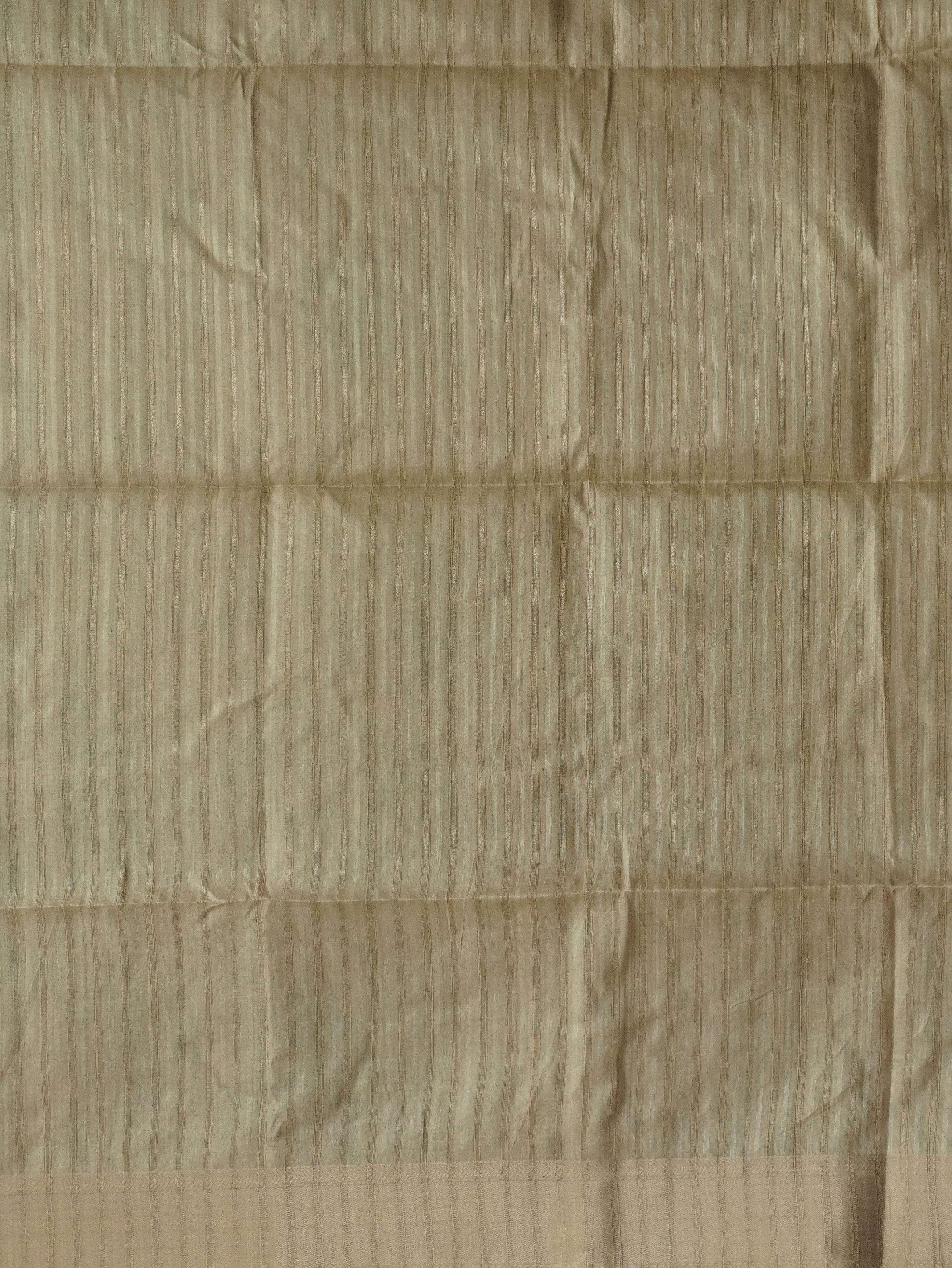 Tussar Silk Saree | TTDS3213