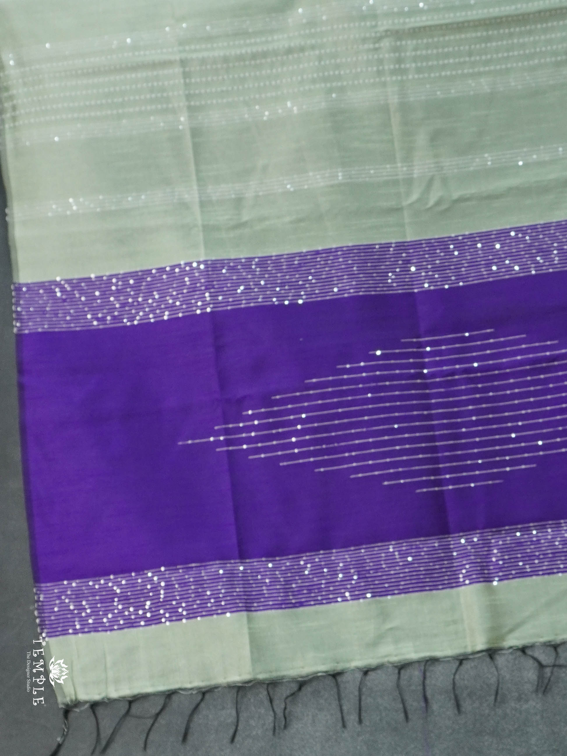 Raw Silk Saree with sequins Work | TTDS2100