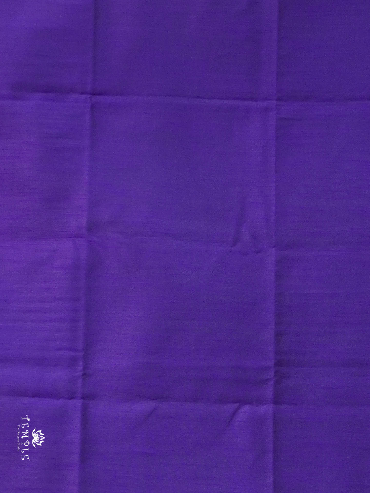 Raw Silk Saree with sequins Work | TTDS2100