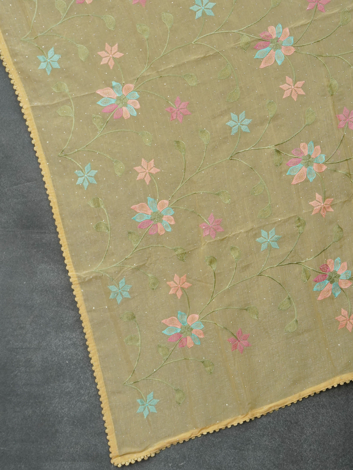 Crushed Organza Saree | TTDS3627