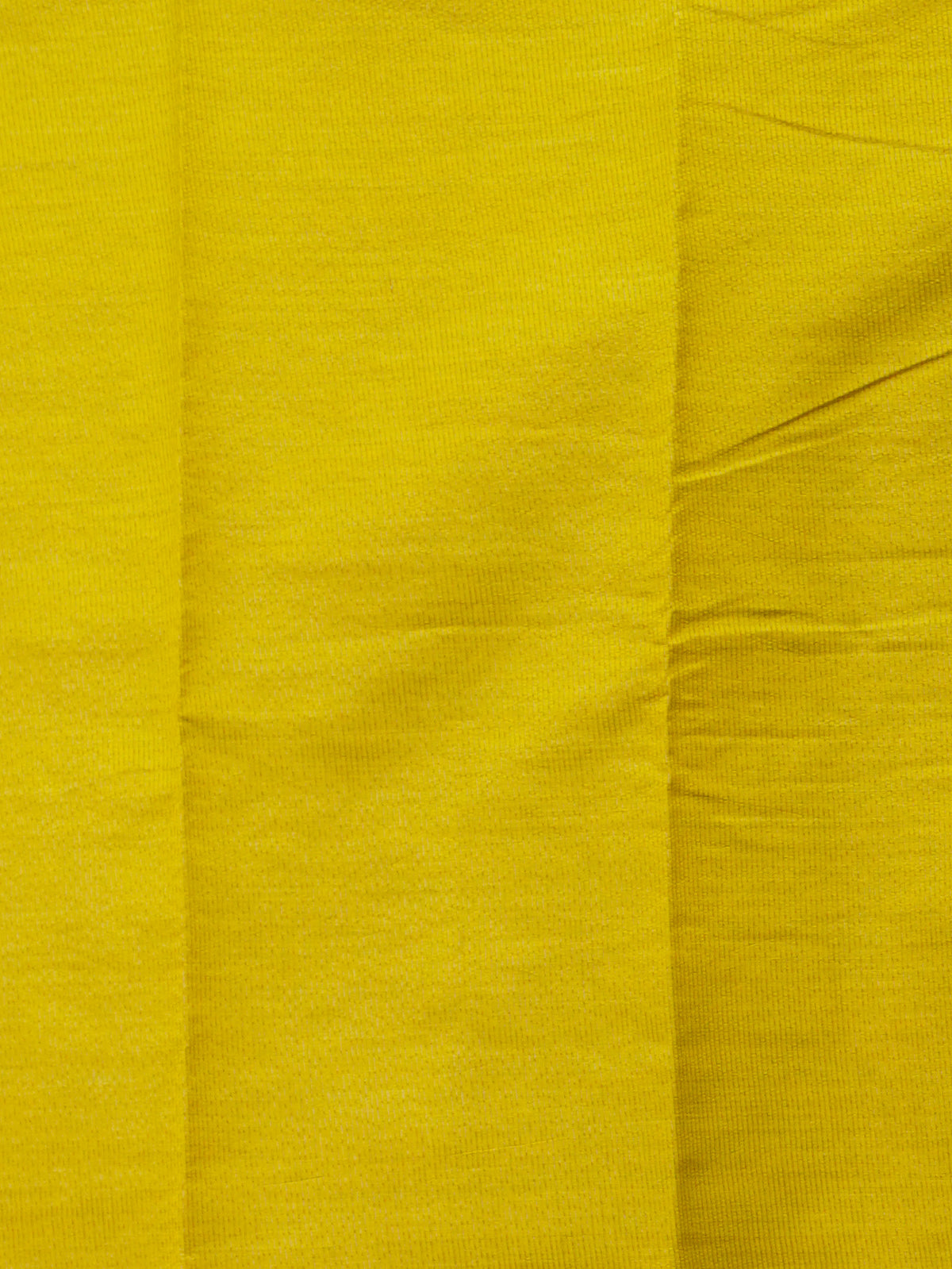 Tussar Silk Saree | TTDS3637