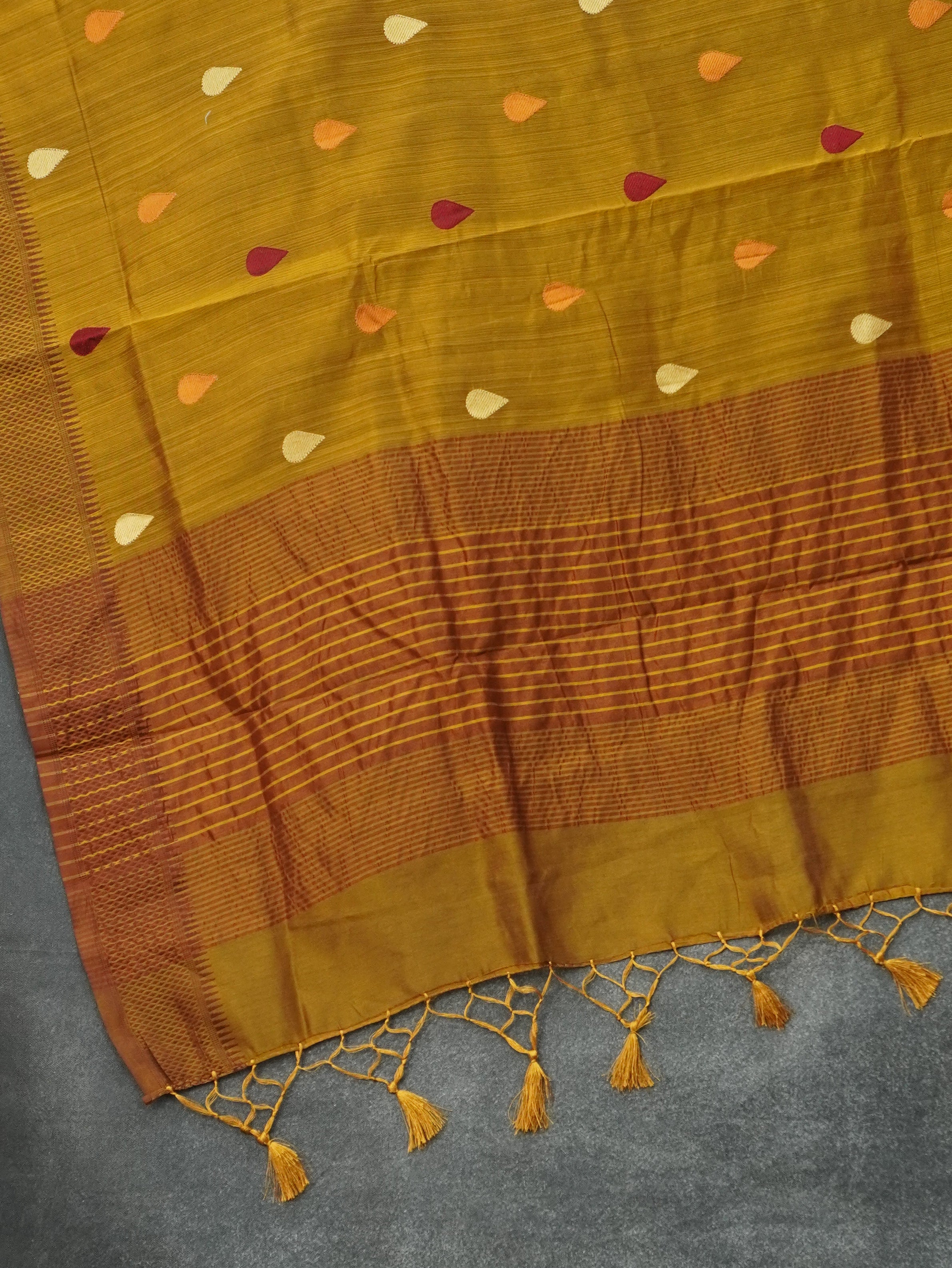 Fancy Tussar Saree | TTDS3221