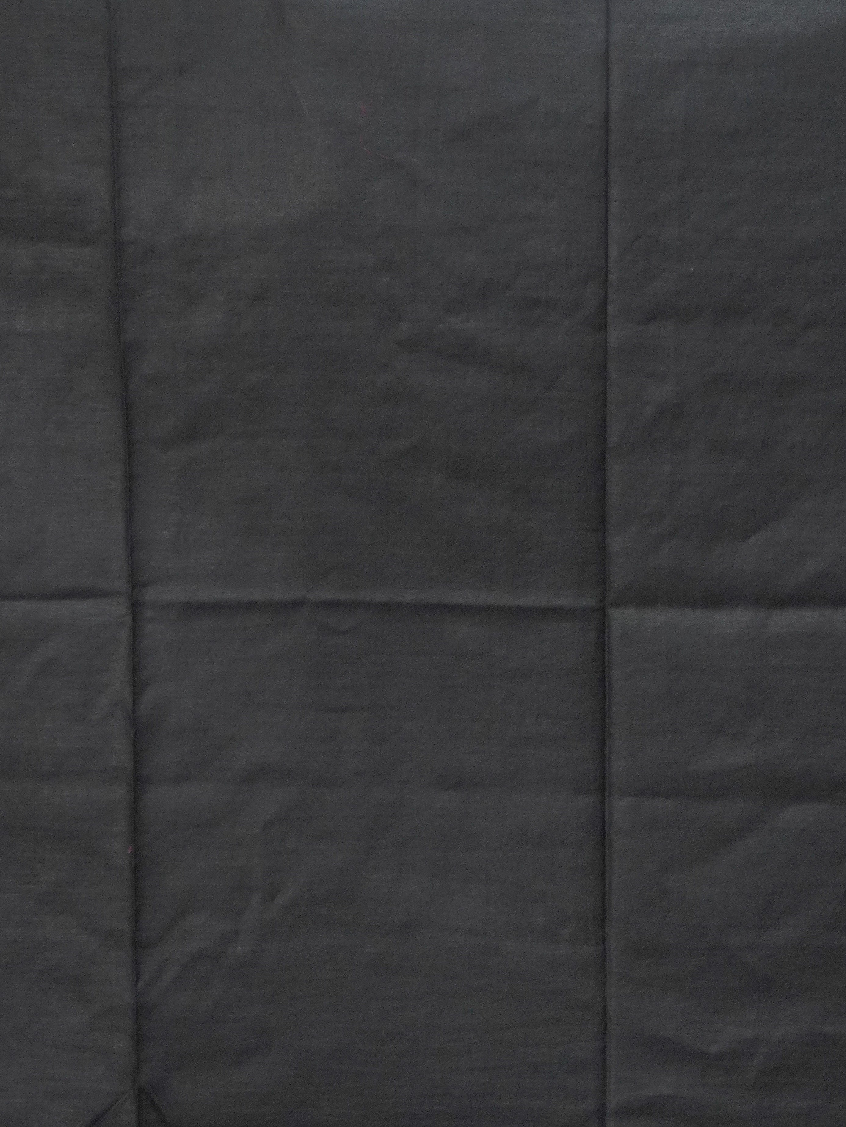 Baswada Cotton Saree | TTDS3241