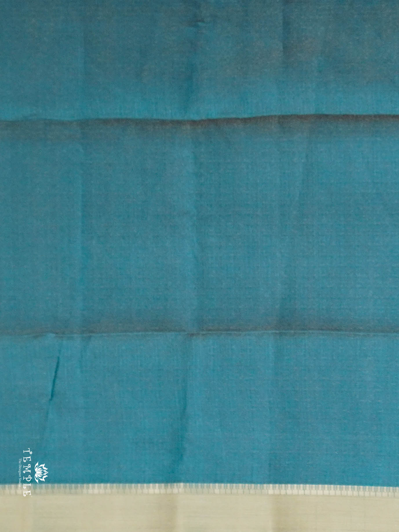 Tissue Organza Saree | TTDS2824