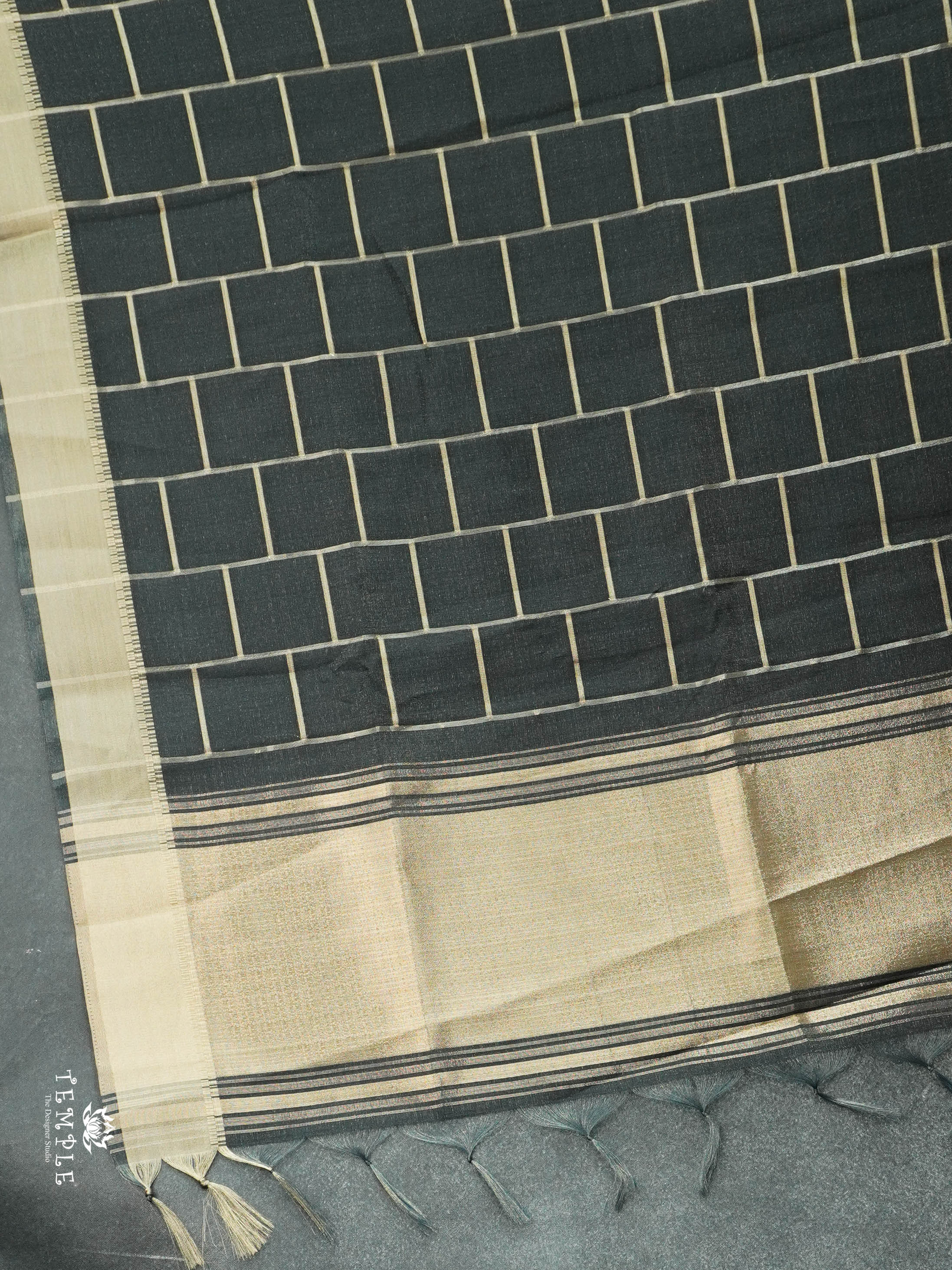 Tissue Organza Saree | TTDS2824