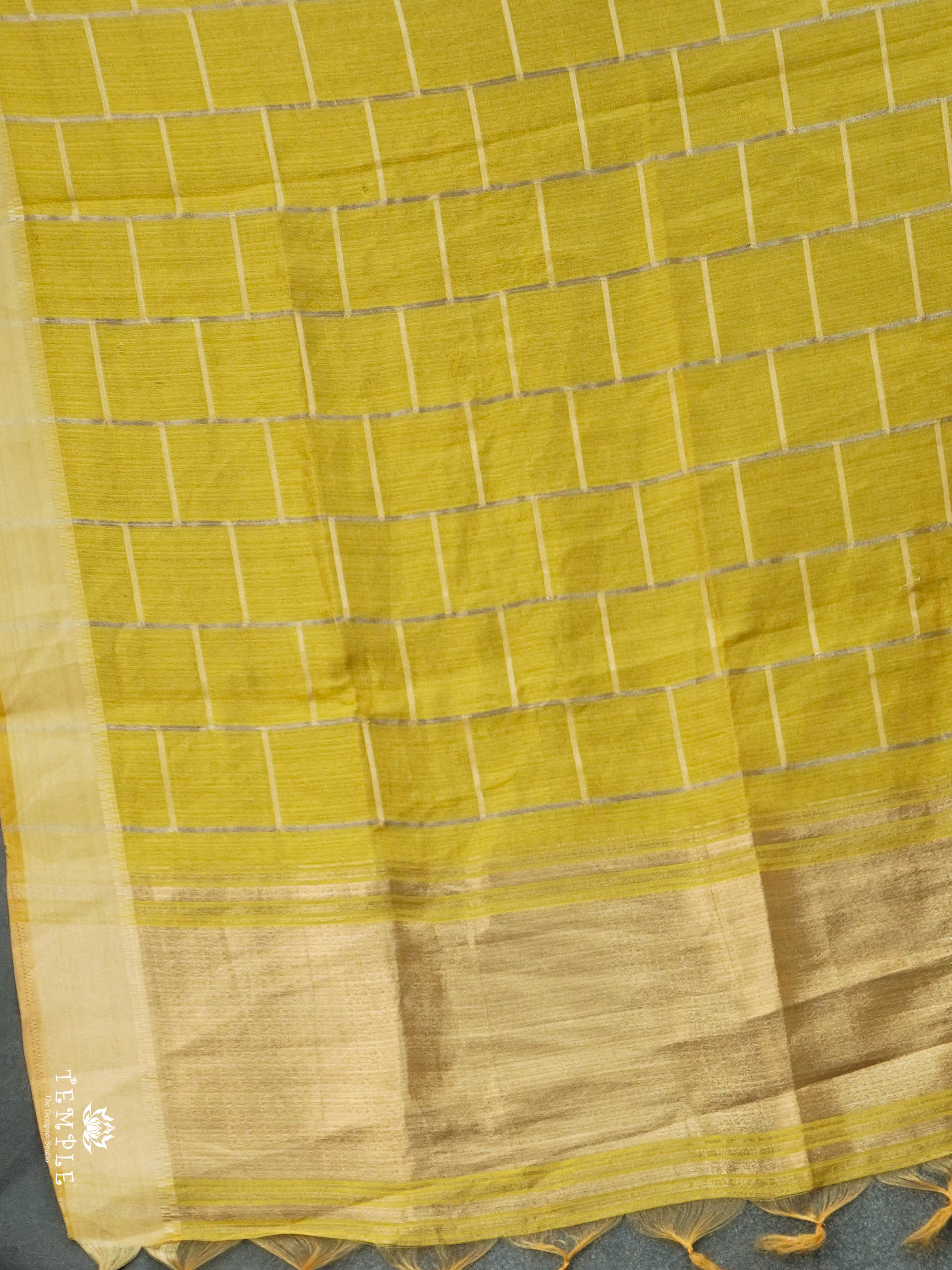 Tissue Organza Saree | TTDS2824