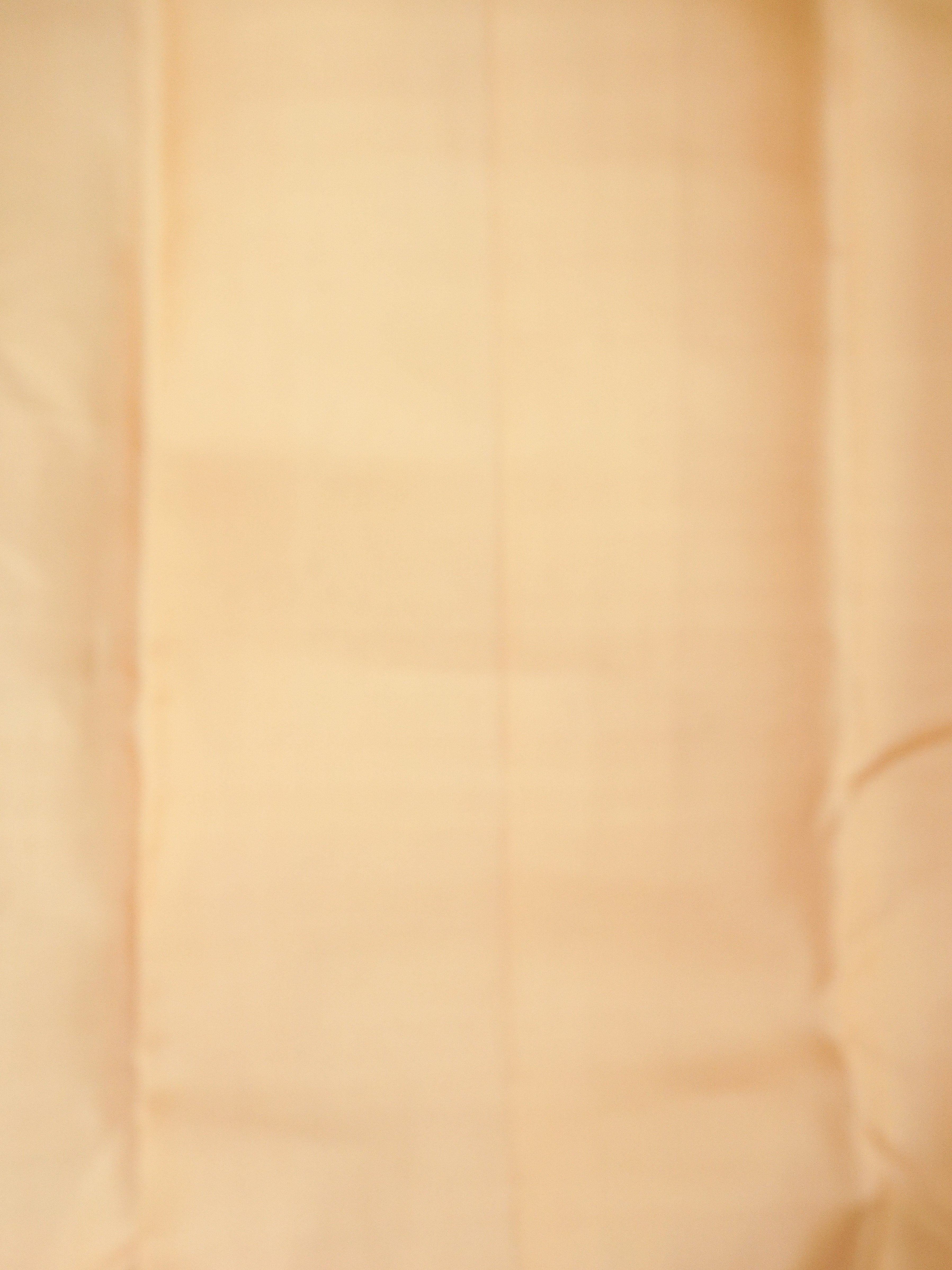 Designer Kanchivaram Silk Saree | TTDS3239