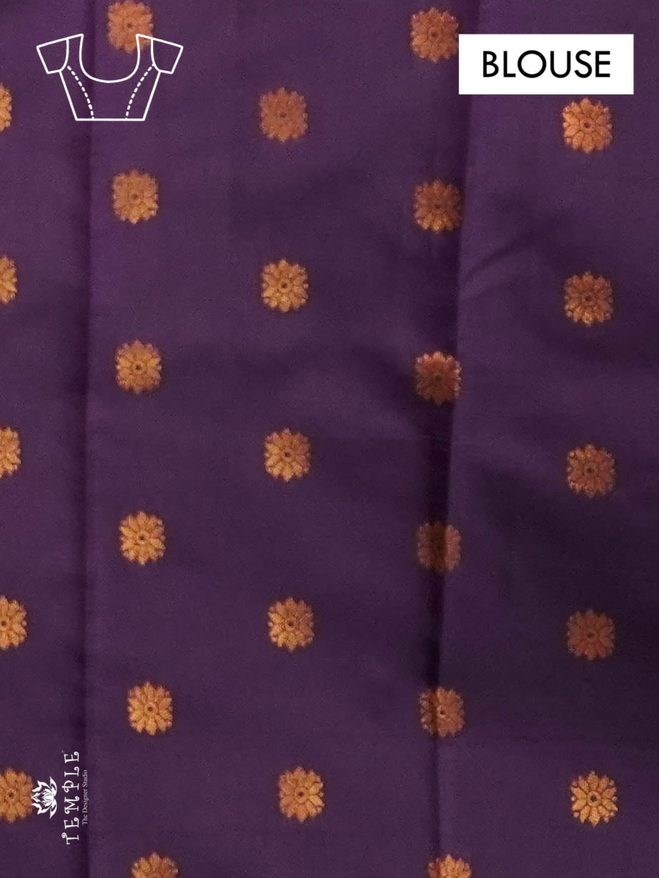 Semi Kanchi Saree | TTDS1840
