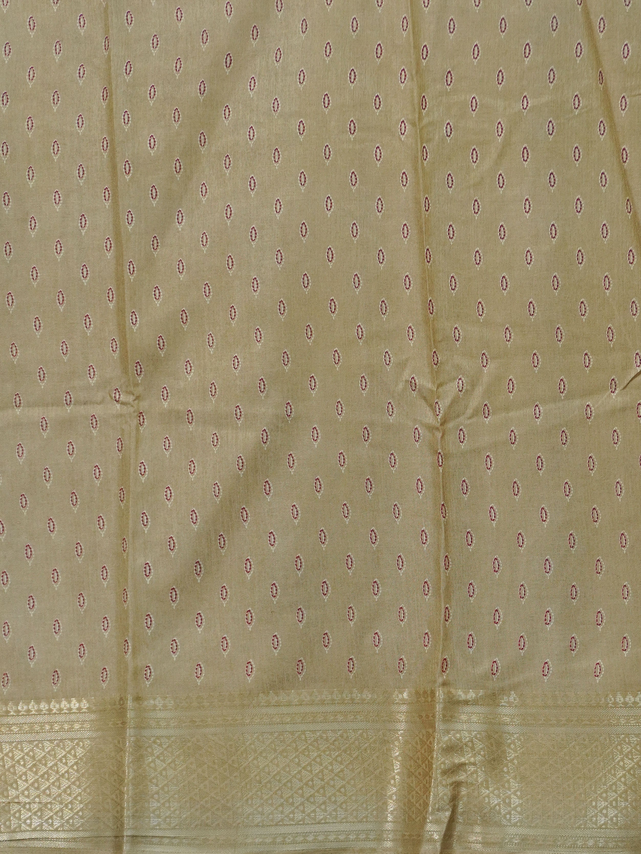 Printed Dola Saree | TTDS3259