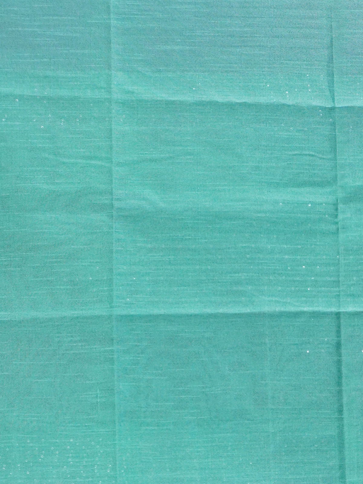 Raw Silk Saree with sequins Work | TTDS2100