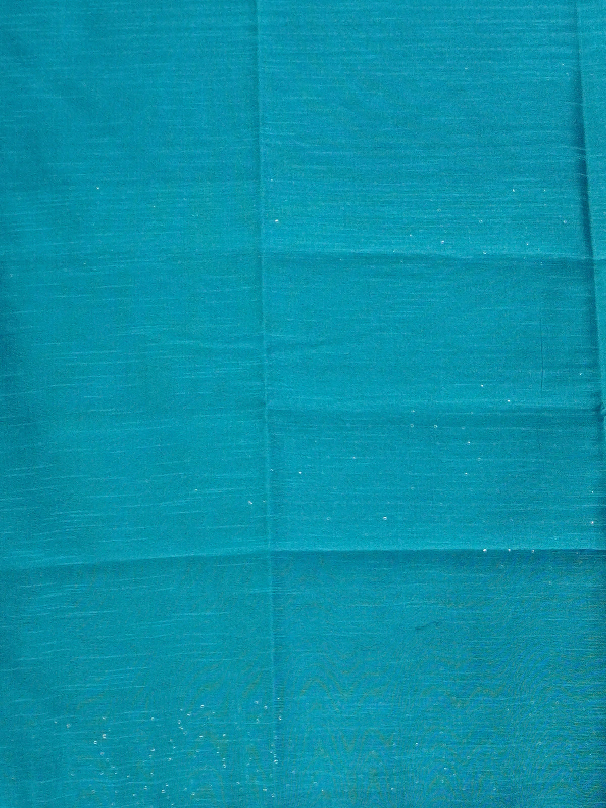 Raw Silk Saree with sequins Work | TTDS2100