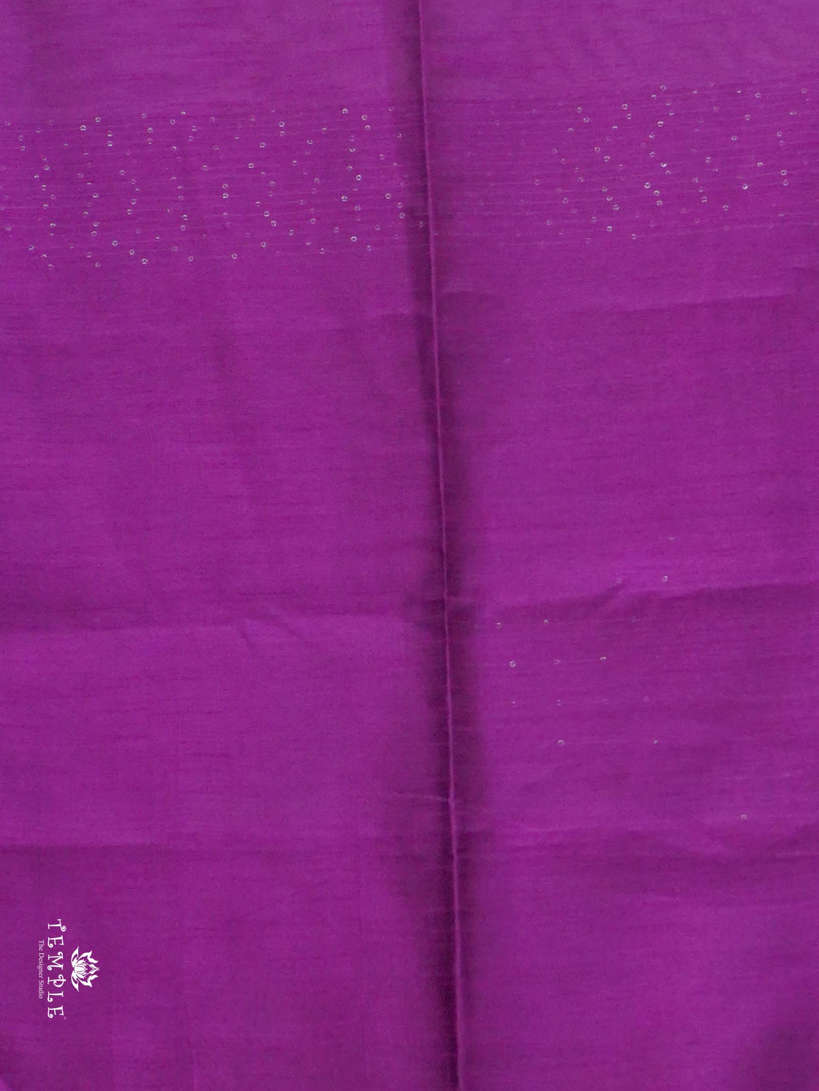 Raw Silk Saree with sequins Work | TTDS2100