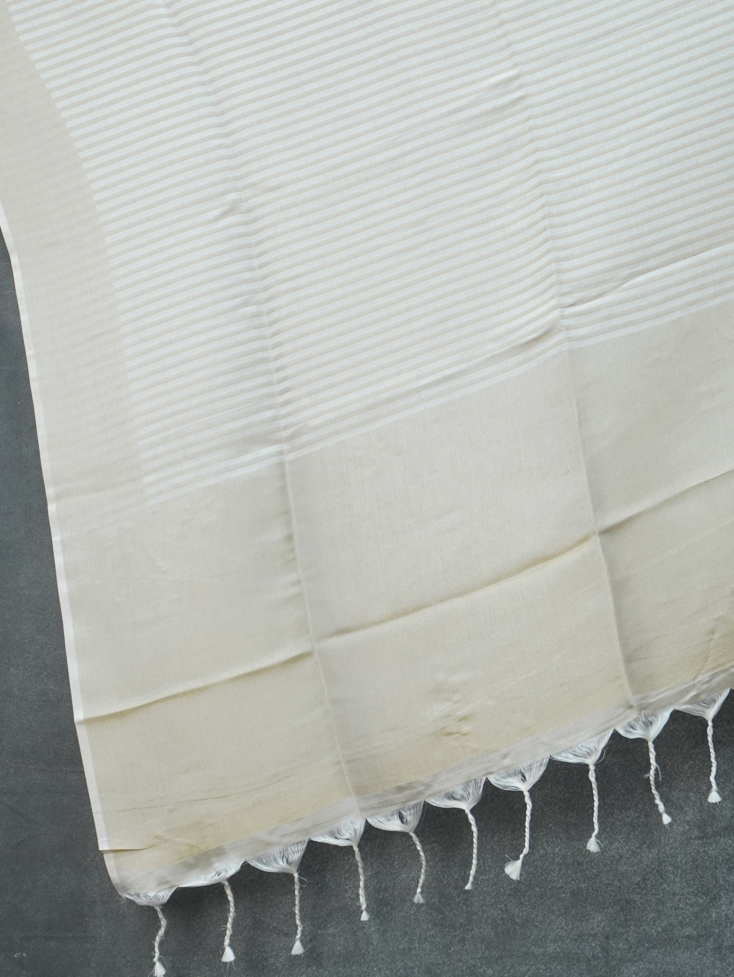 Linen Tissue Saree | TTDS3311