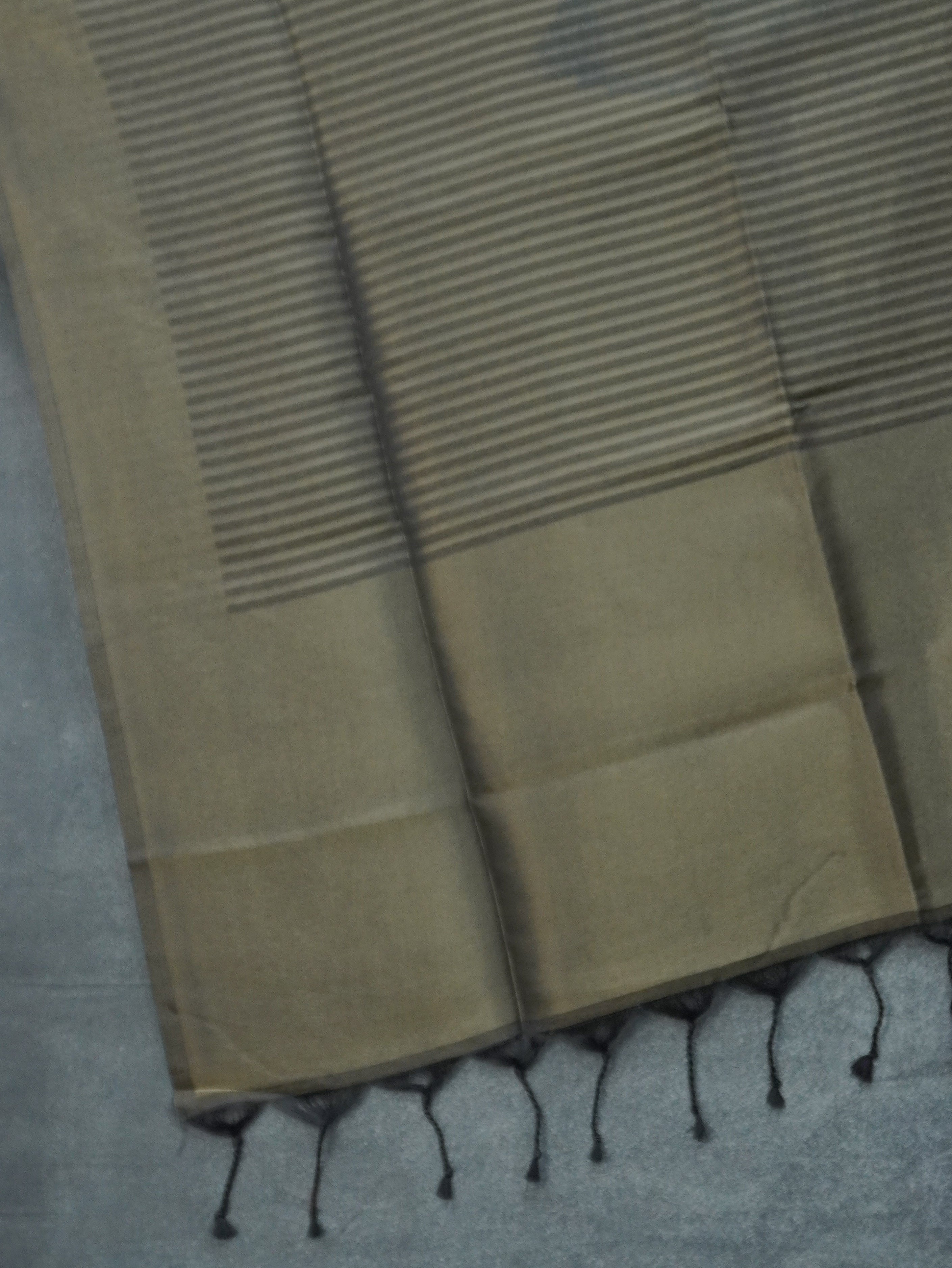 Linen Tissue Saree | TTDS3311