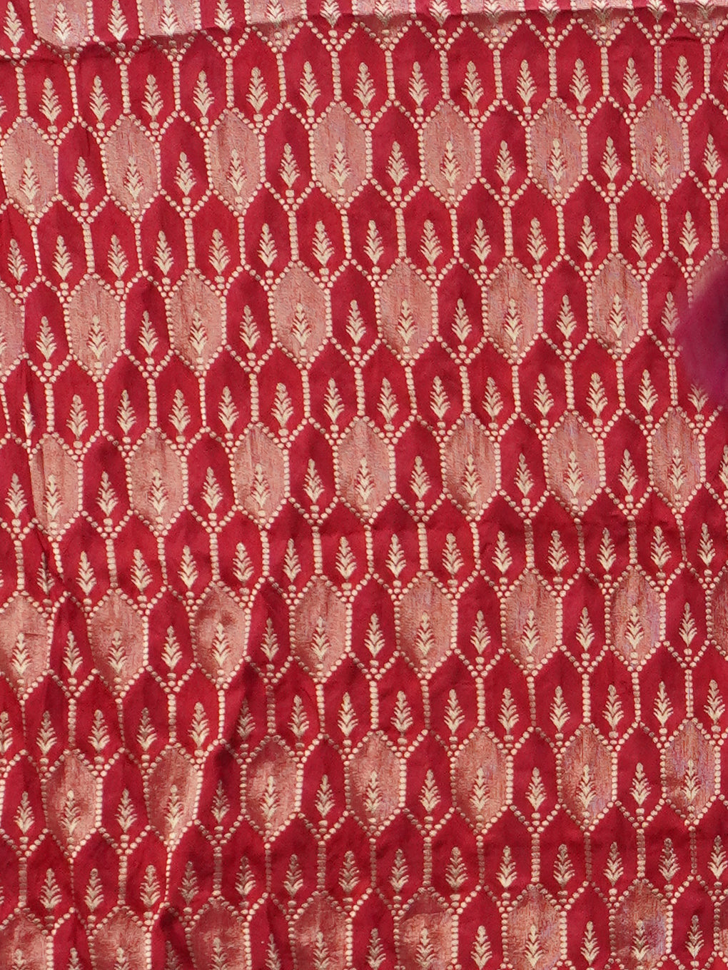 Linen Viscose Saree | TTDS3315
