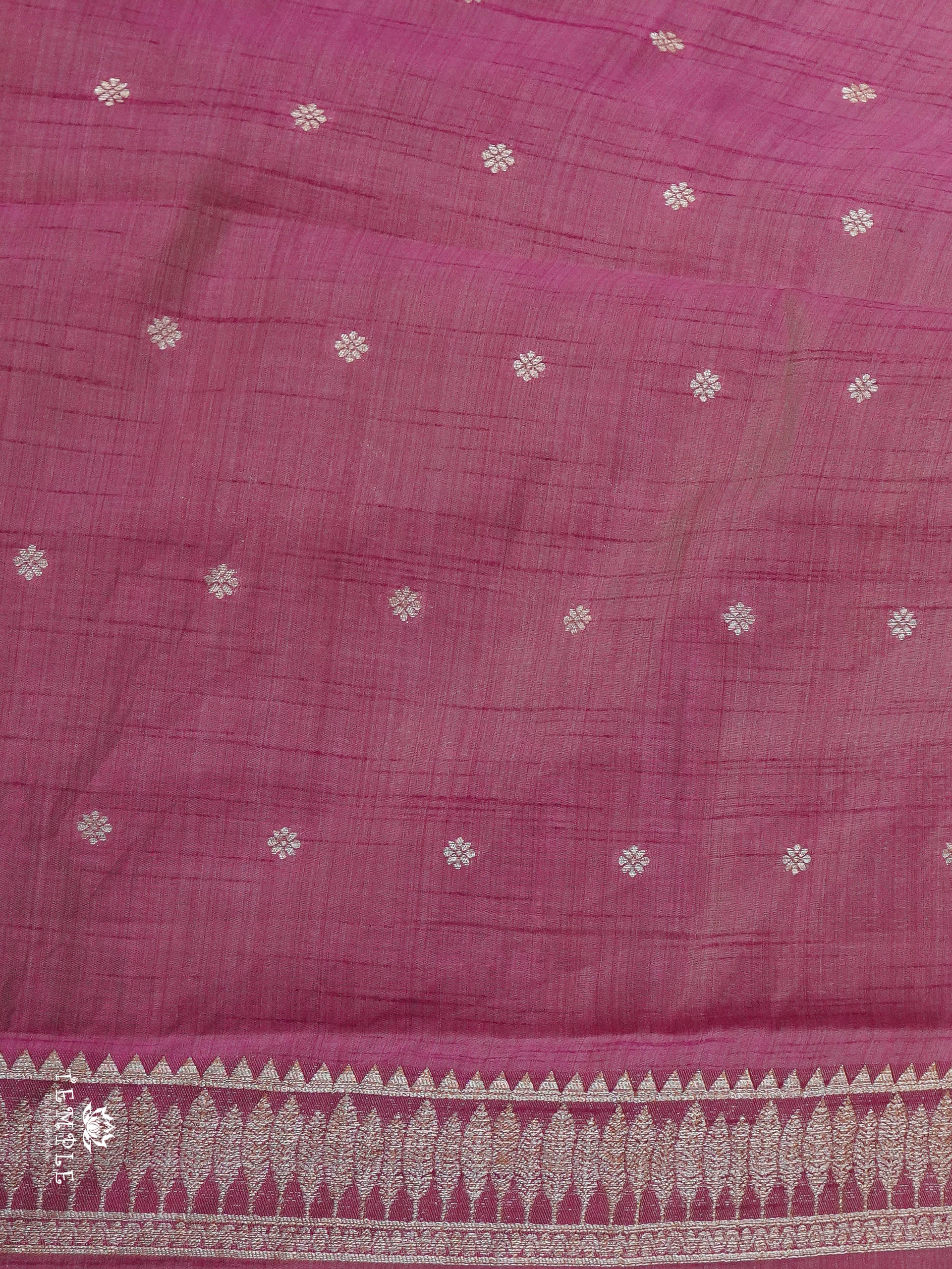 Raw Silk Saree | TTDS2920
