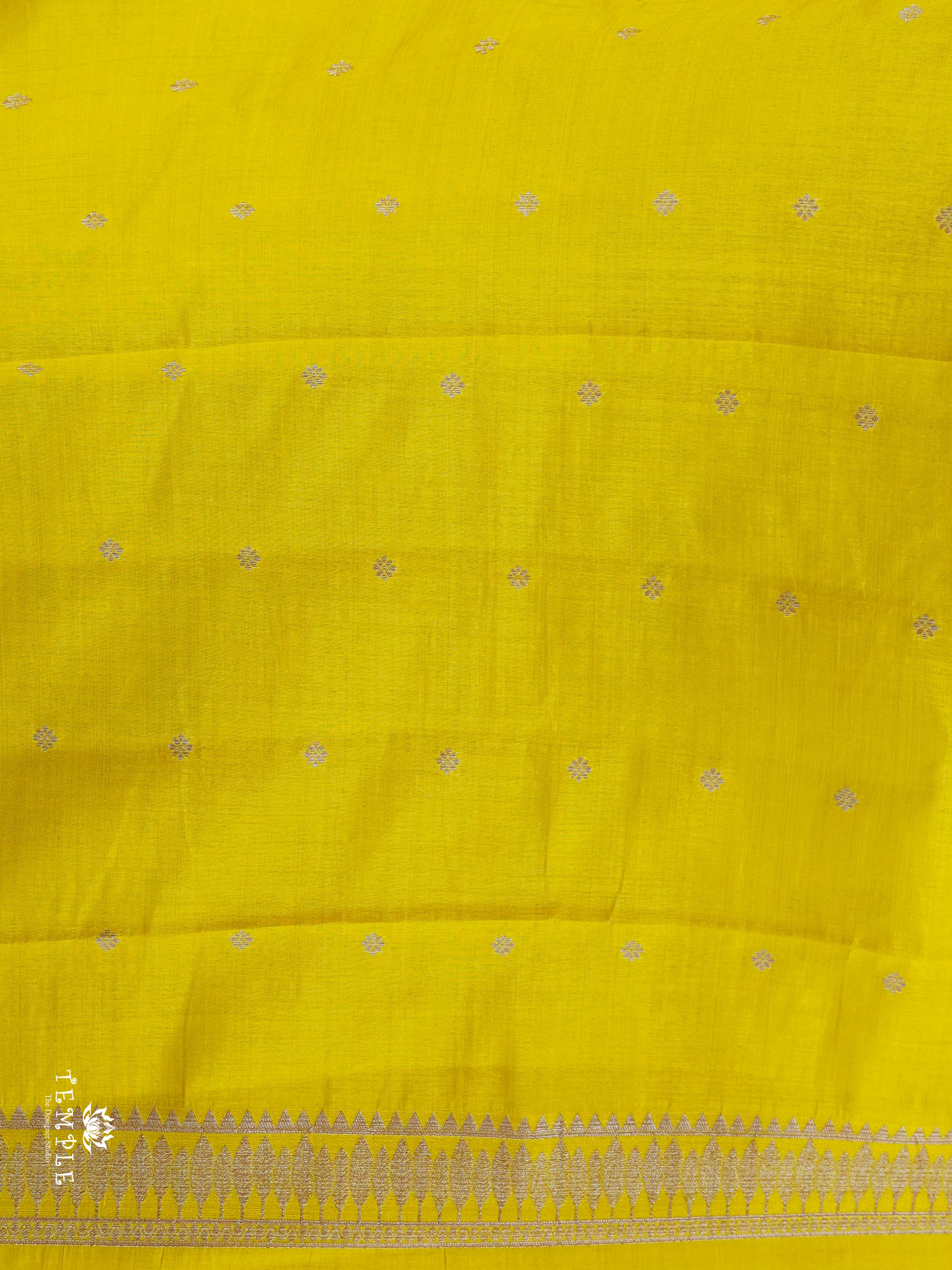 Raw Silk Saree | TTDS2920