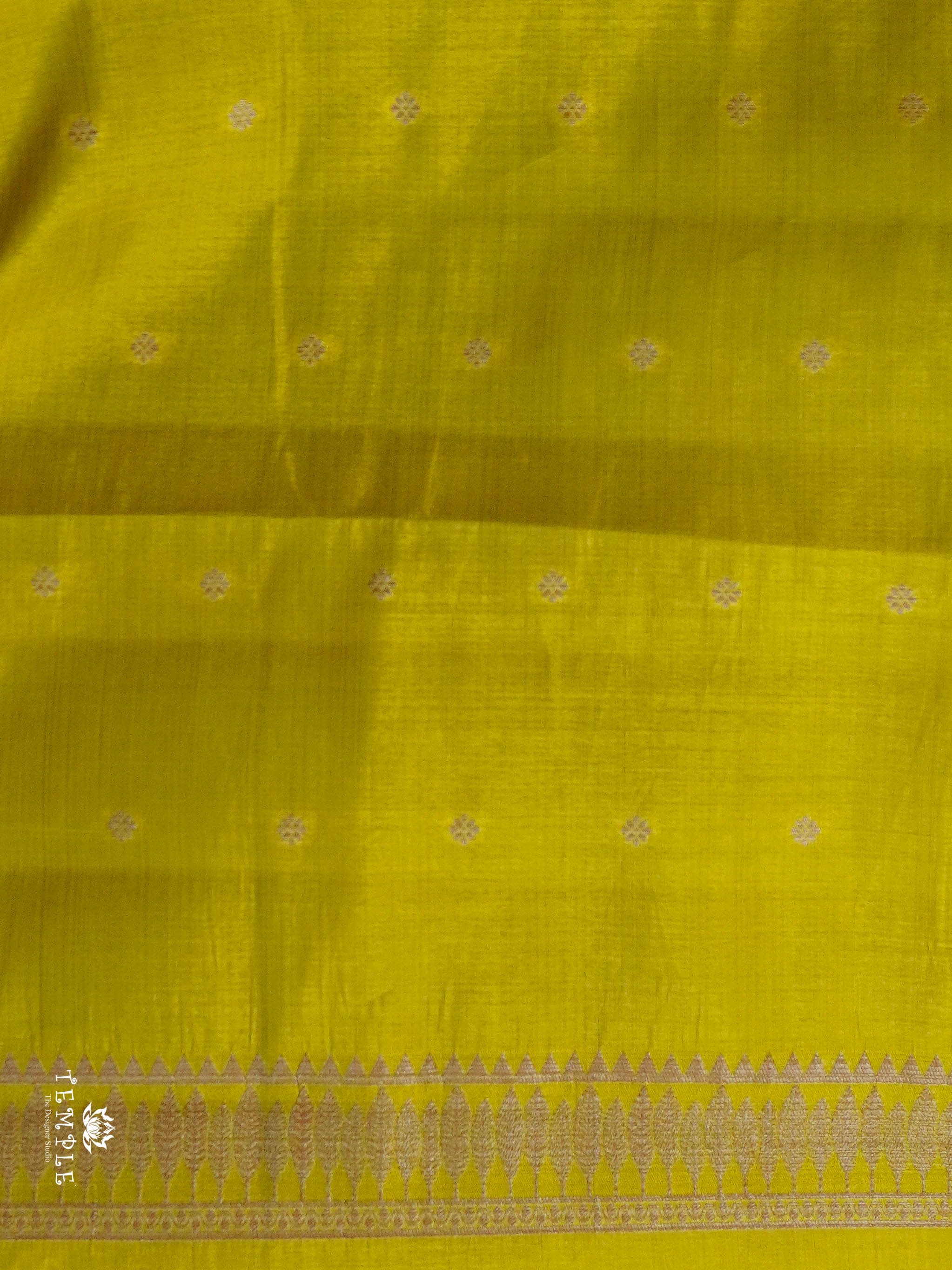 Raw Silk Saree | TTDS2920
