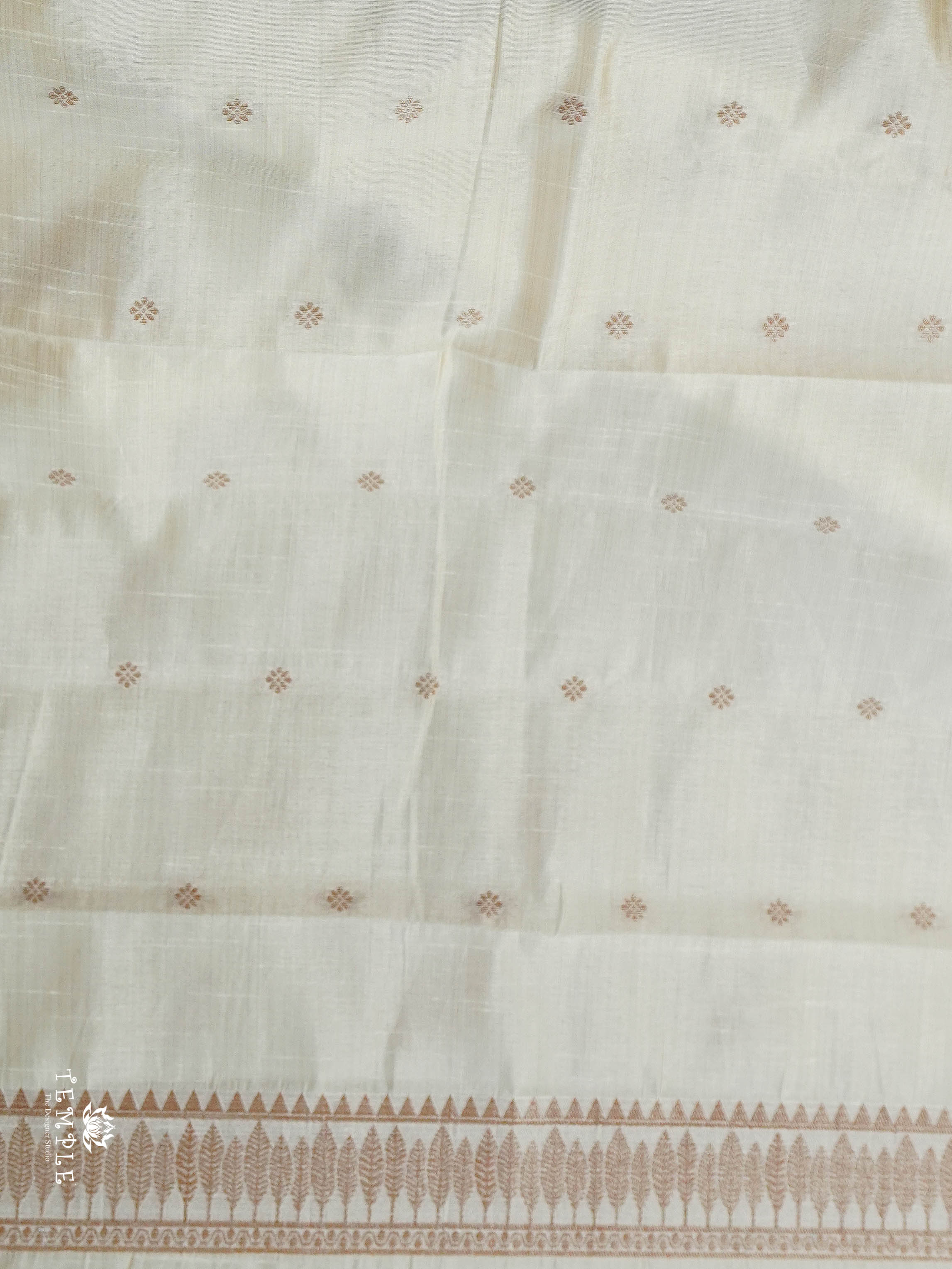 Raw Silk Saree | TTDS2920