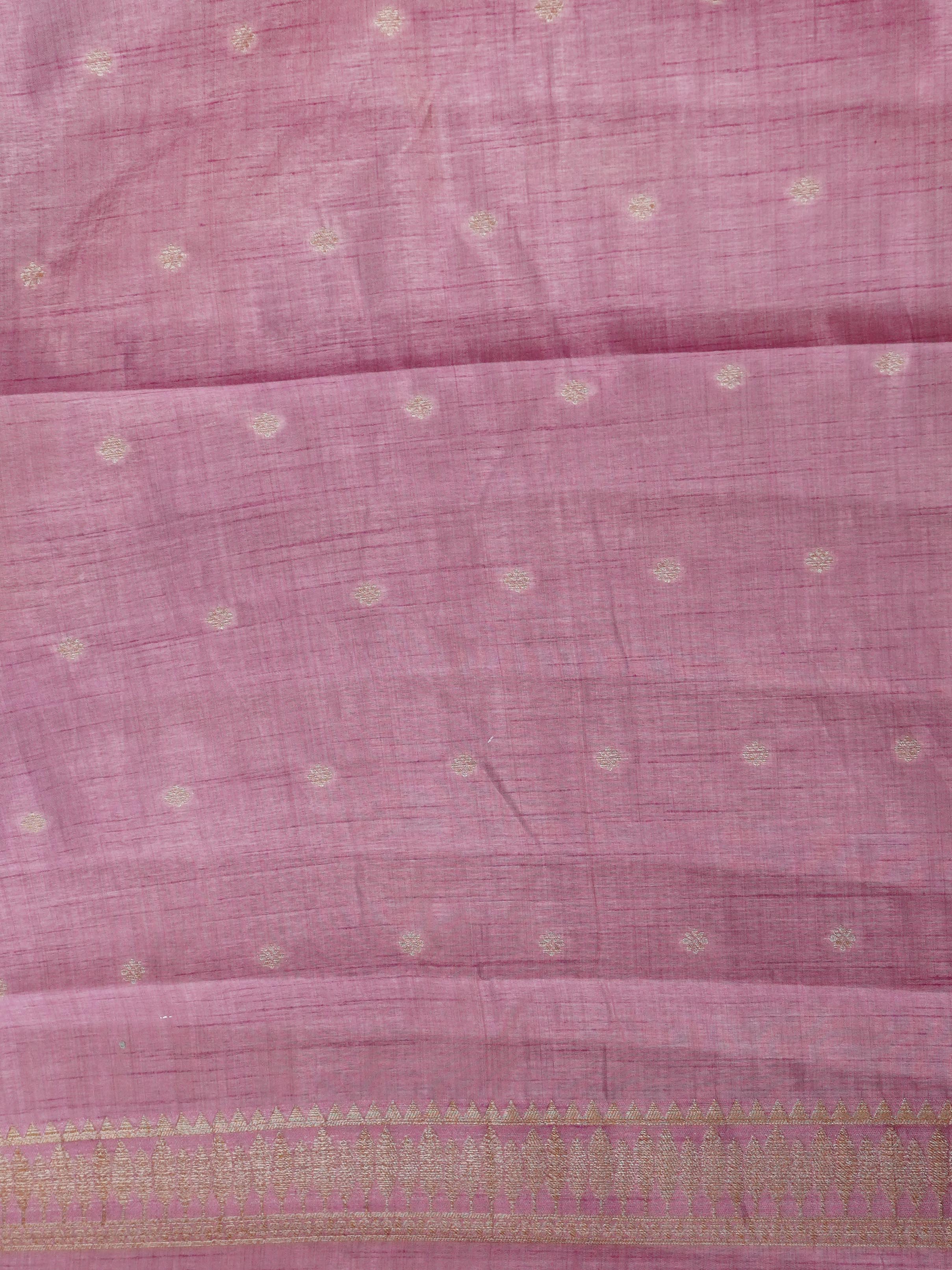 Raw Silk Saree | TTDS2920