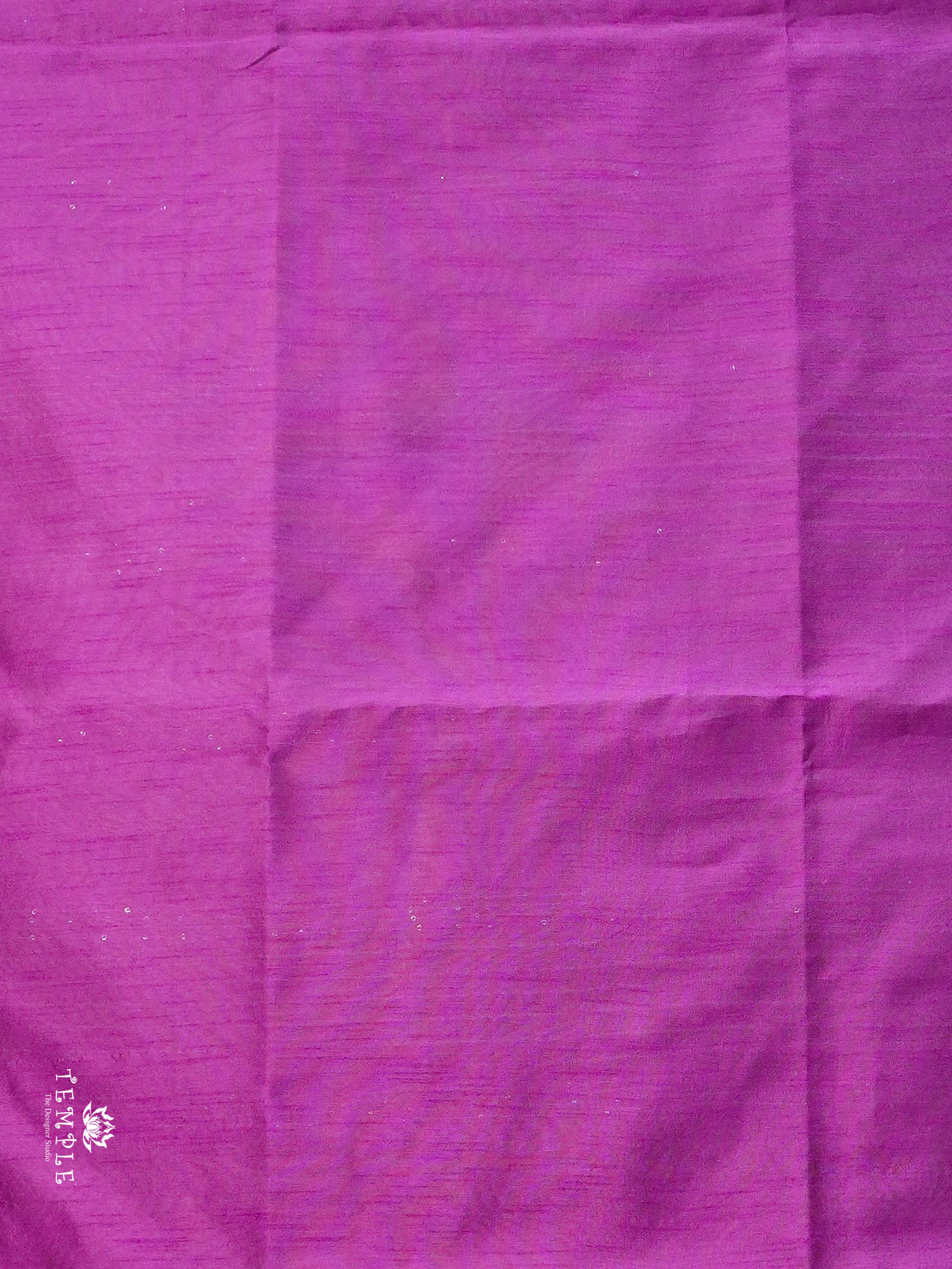 Raw Silk Saree with sequins Work | TTDS2100