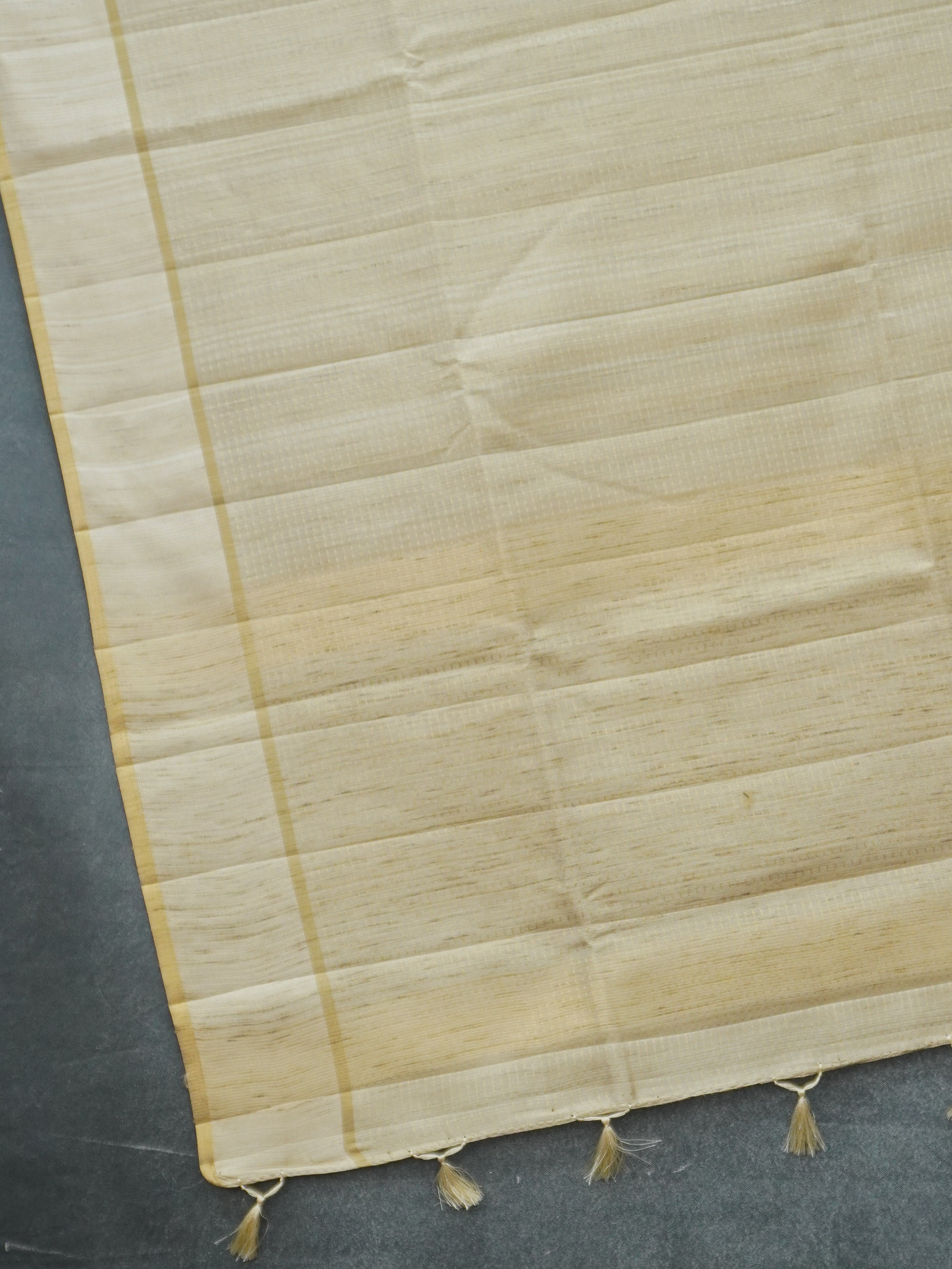 Chappa Tussar Silk Saree | TTDS3101