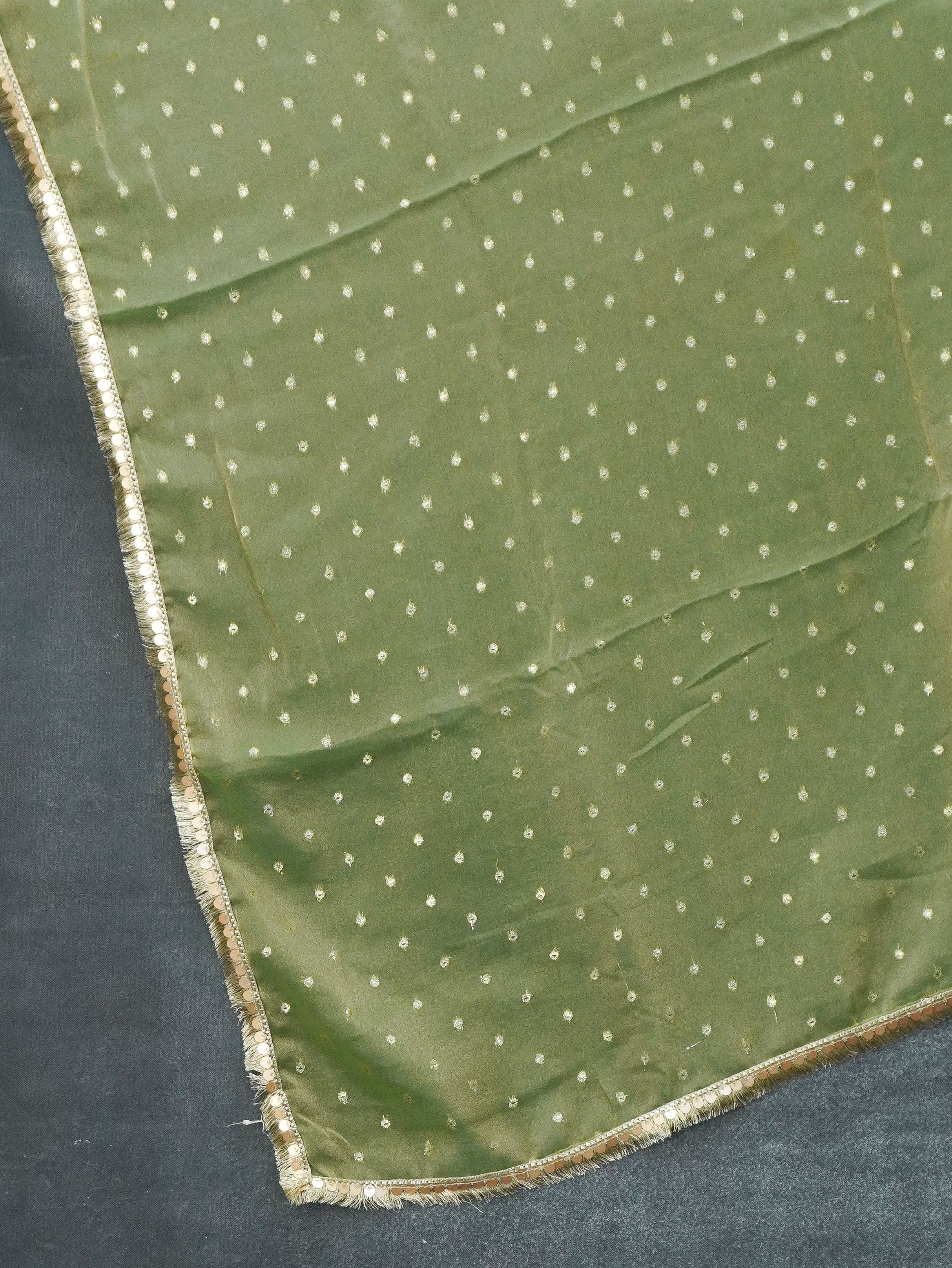 Tissue Silk Saree | TTDS3358