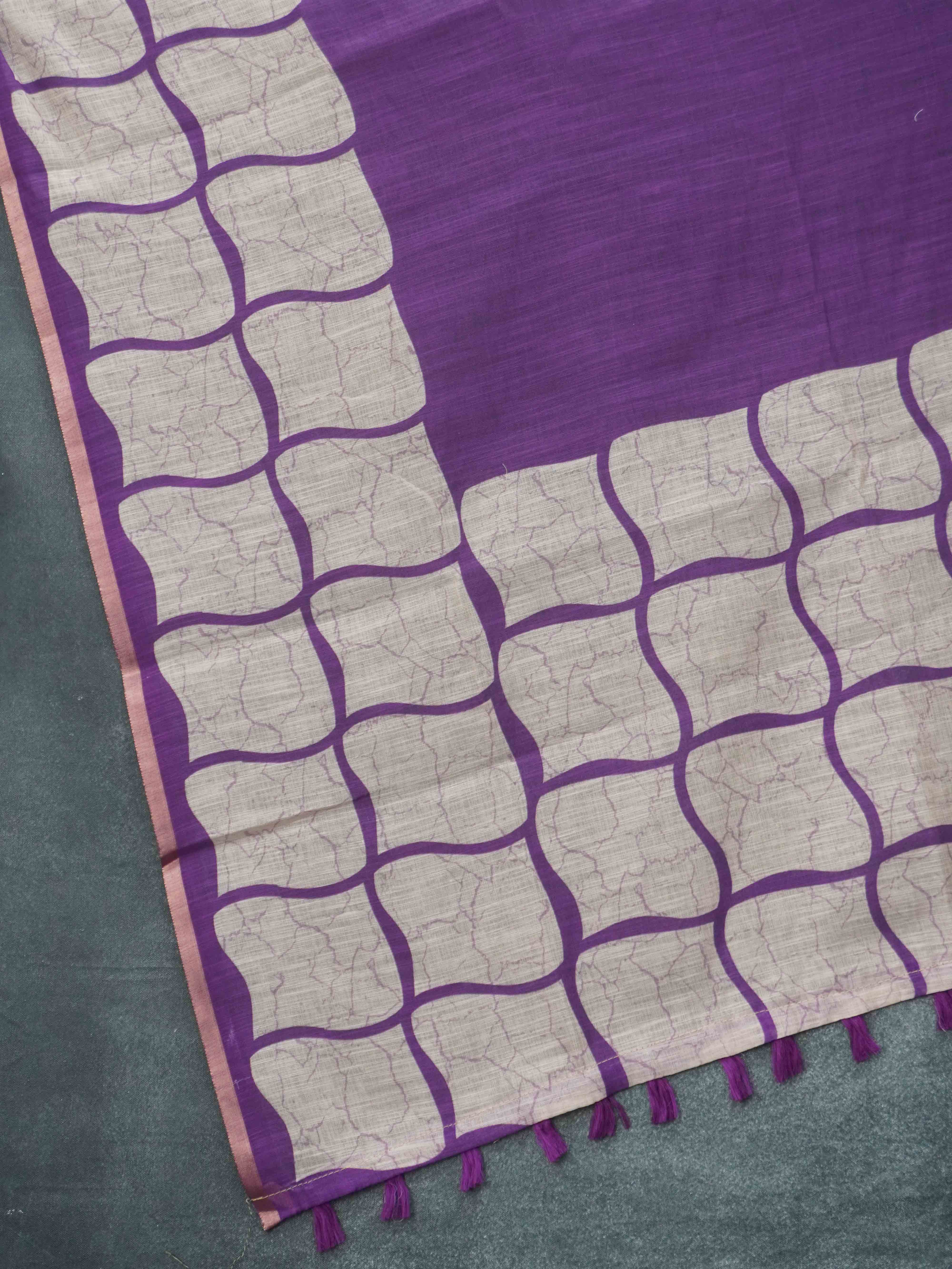 Chanderi Silk Saree | TTDS3381