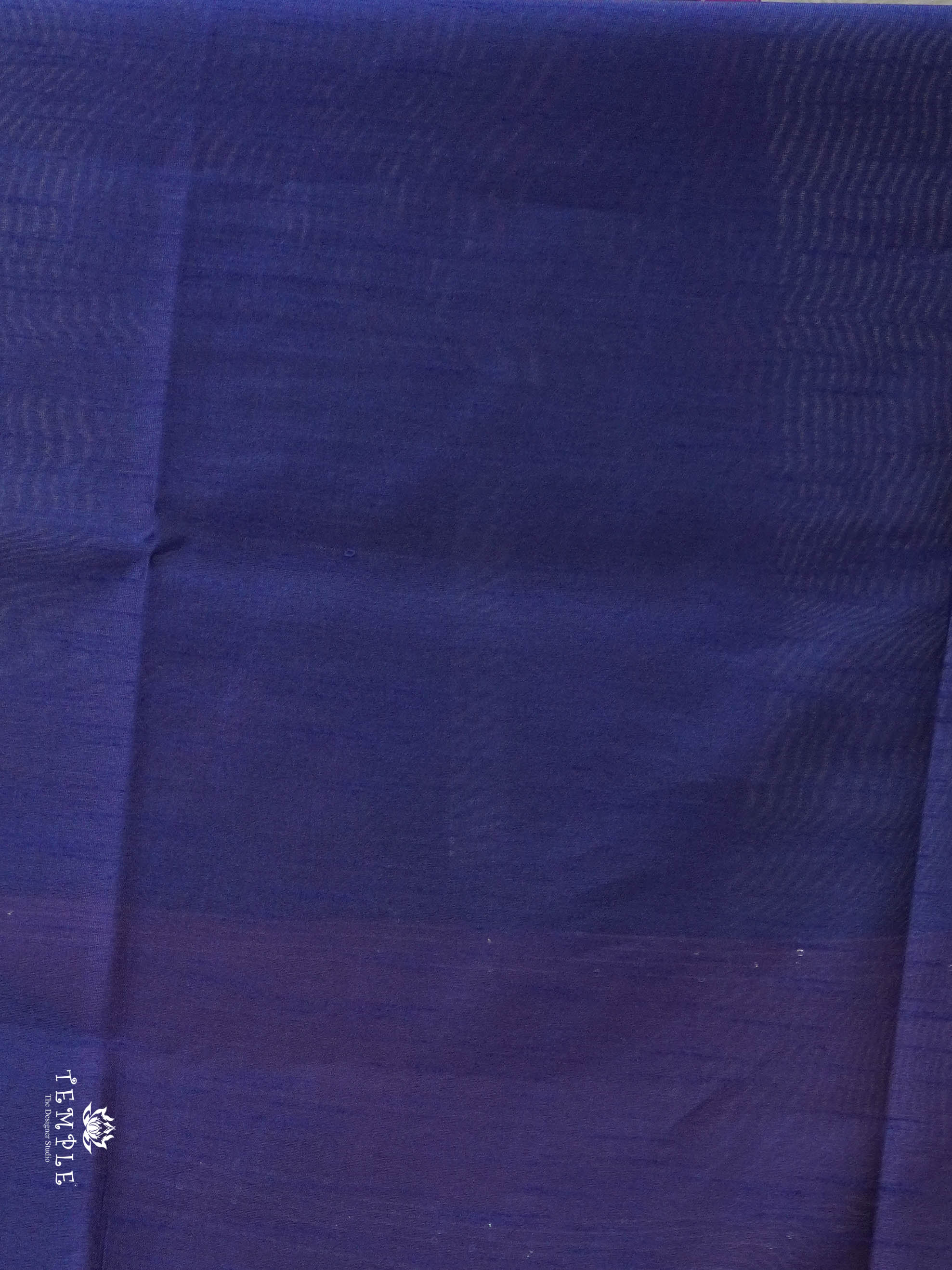Raw Silk Saree with sequins Work | TTDS2100