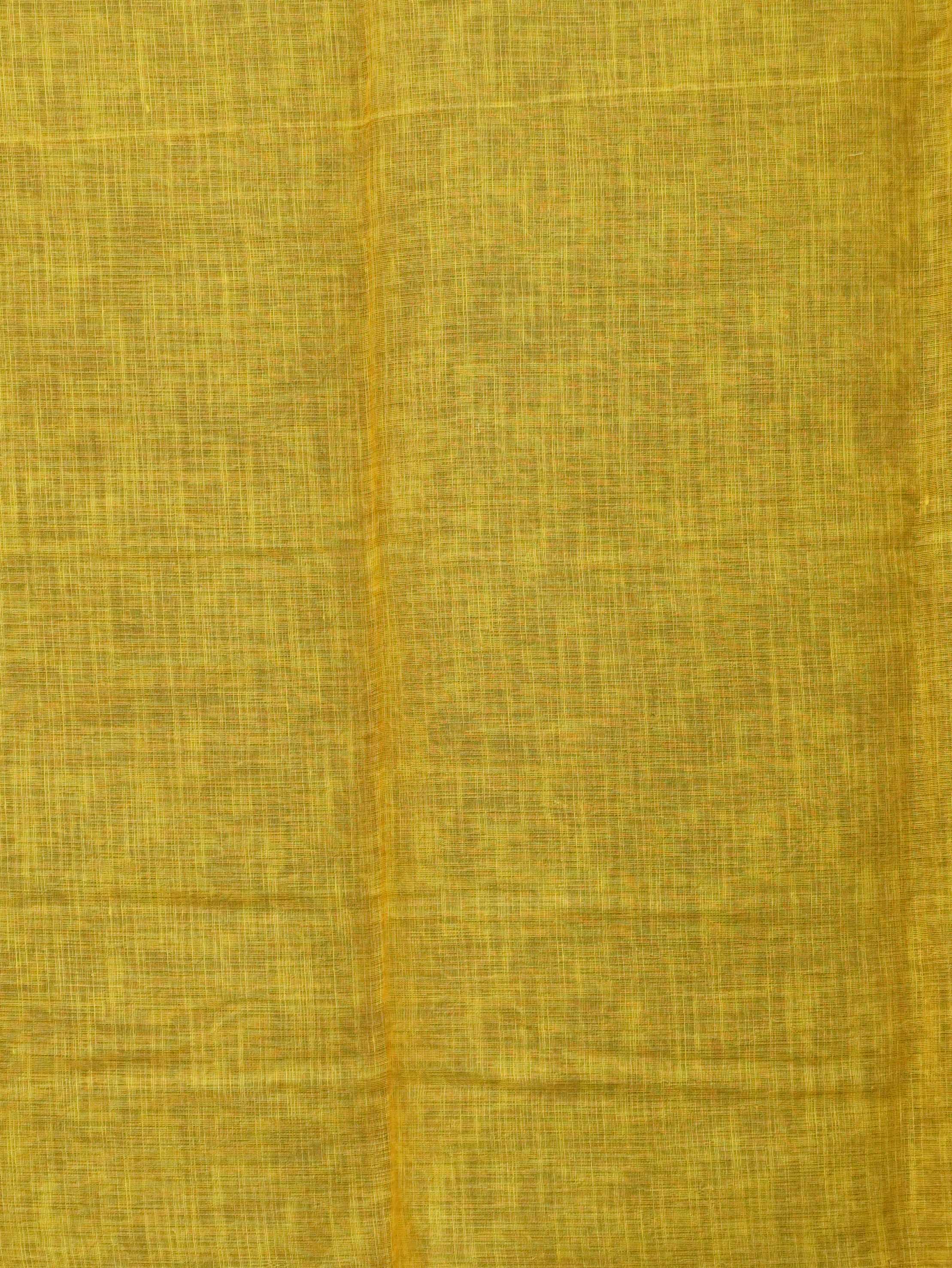 Linen Cotton Saree | TTDS3414