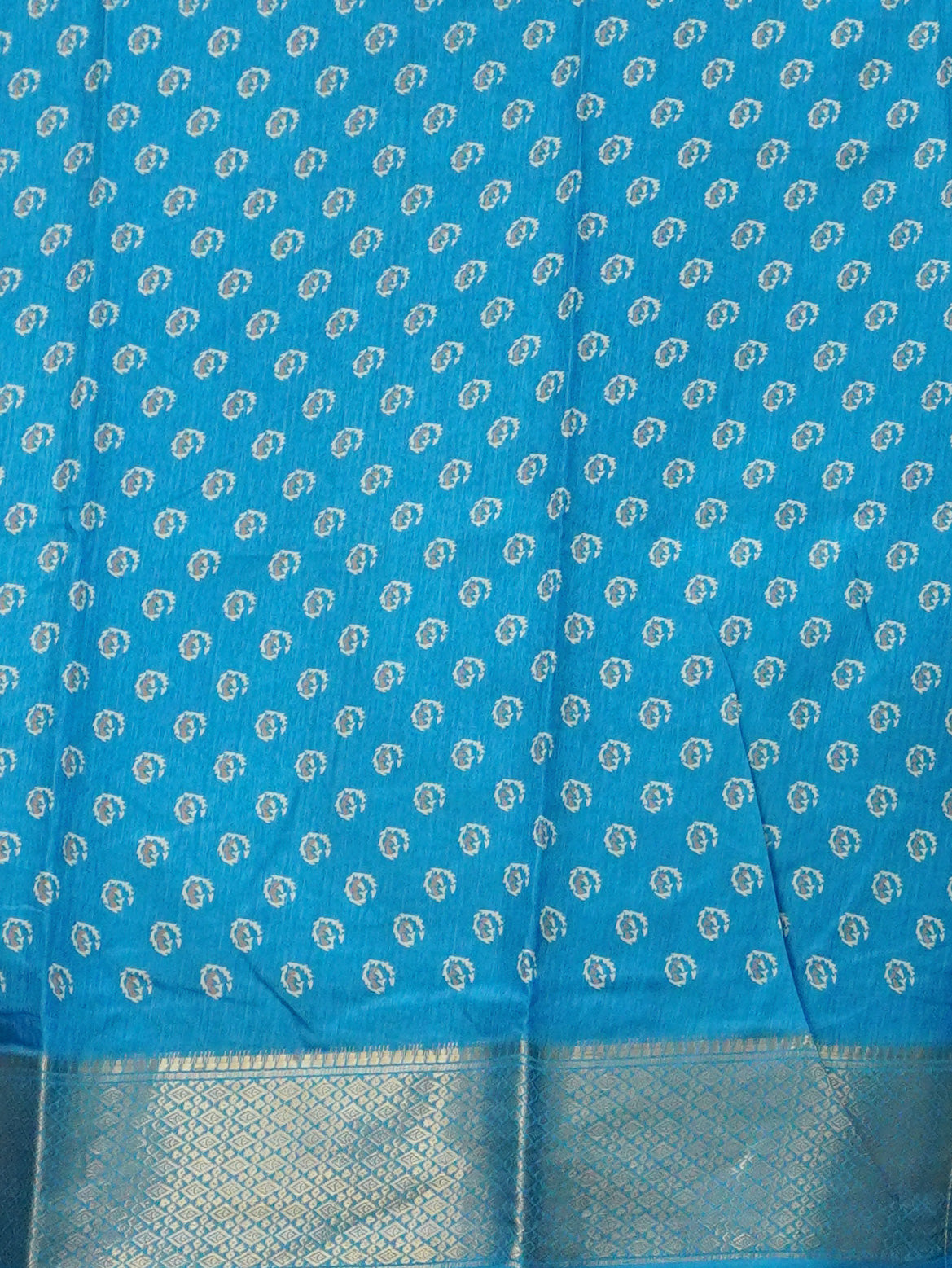 Printed Dola Saree | TTDS3426
