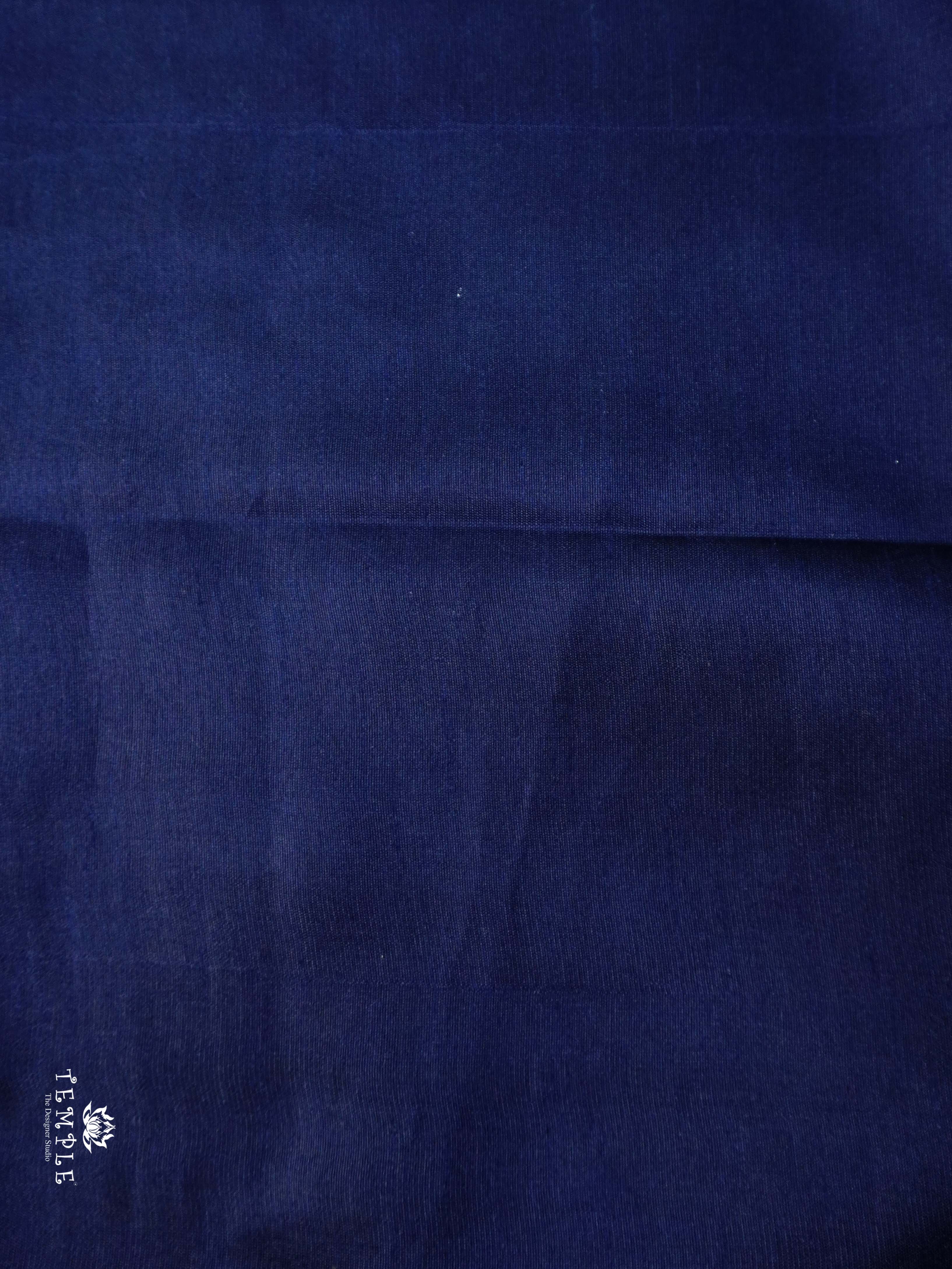 Raw Silk Saree with sequins Work | TTDS2100