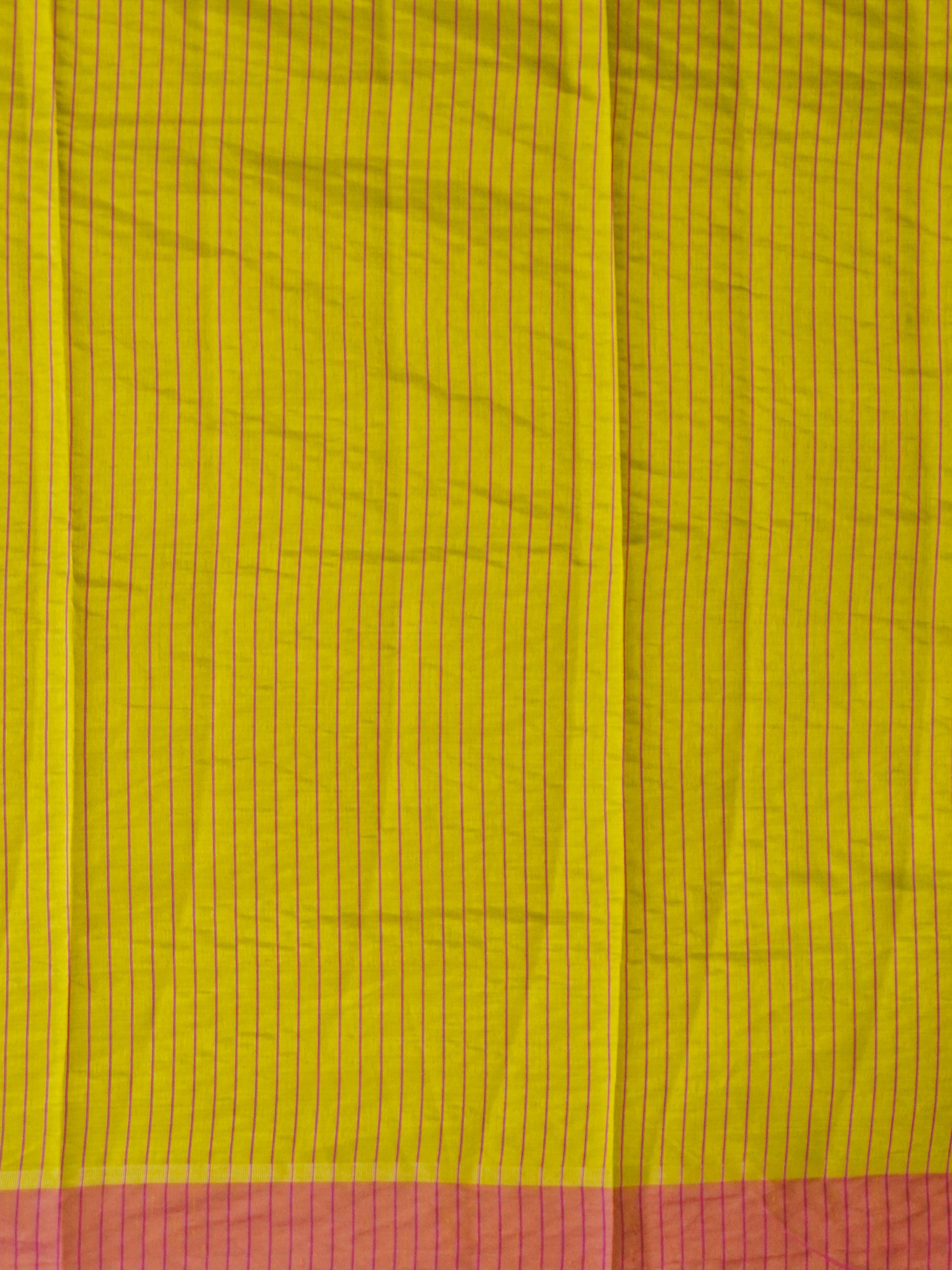 Tussar Saree | TTDS3445