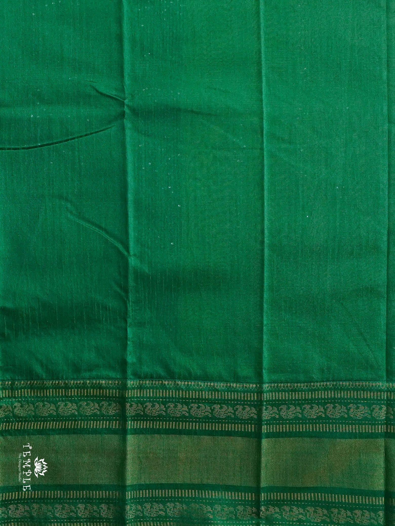 Raw Silk Saree With Sequins Work | TTDS3035