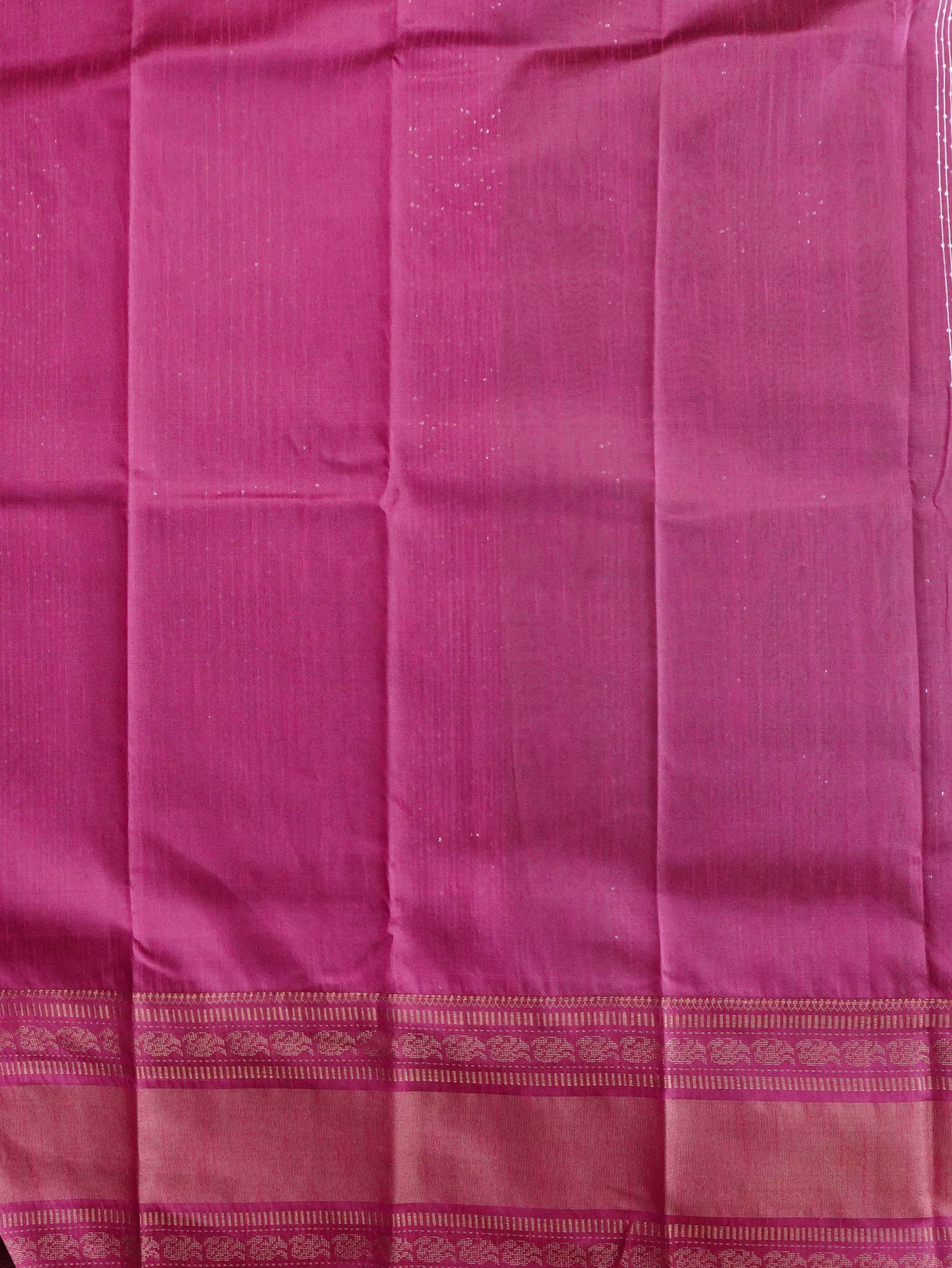 Raw Silk Saree With Sequins Work | TTDS3035