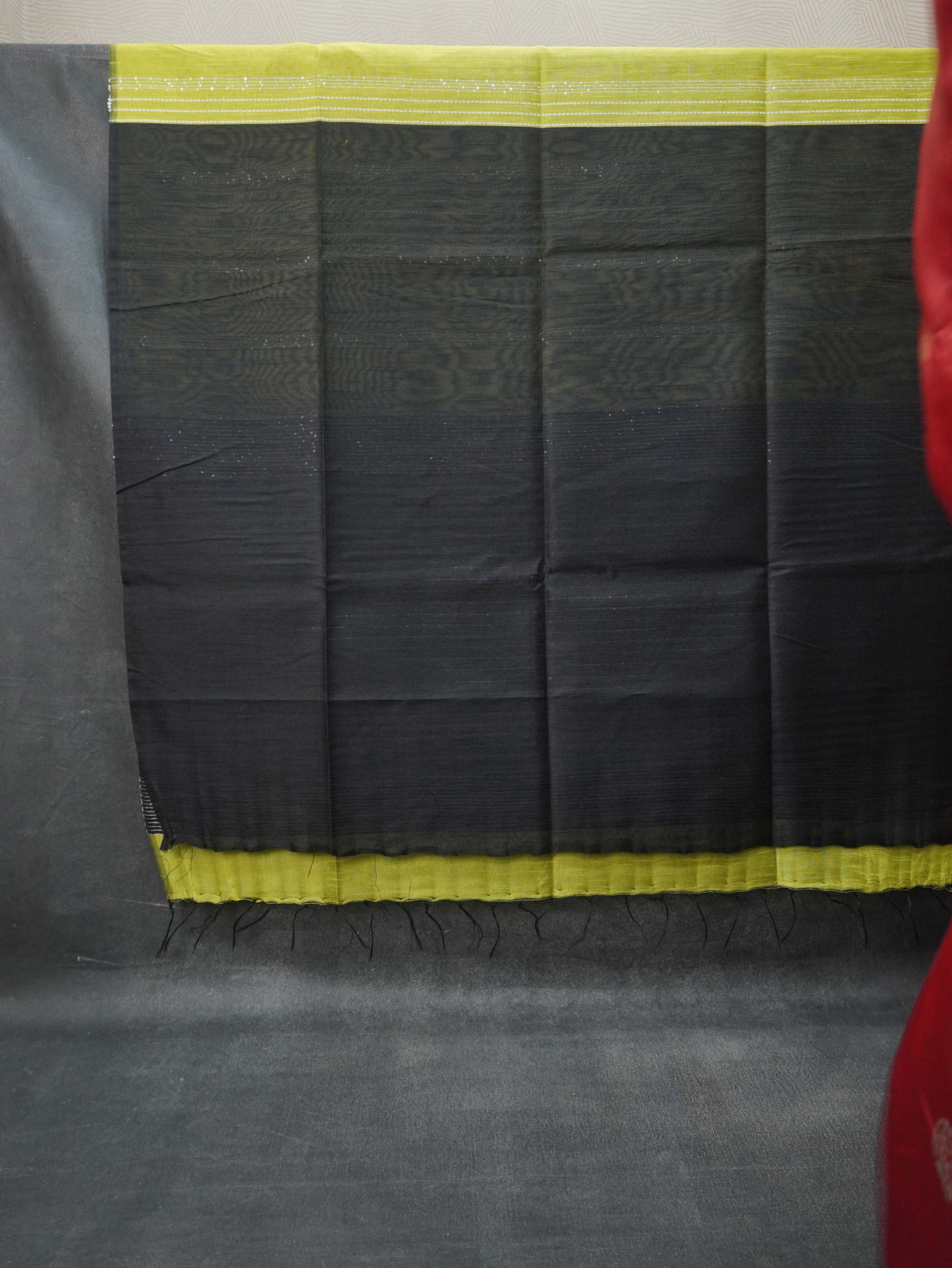 Raw Silk Saree with sequins Work | TTDS2100