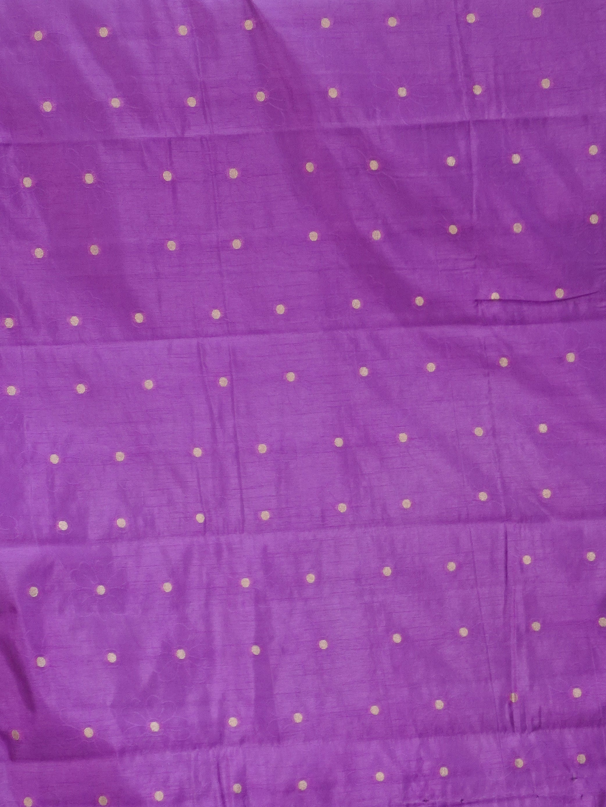 Tissue Silk Saree | TTDS3483