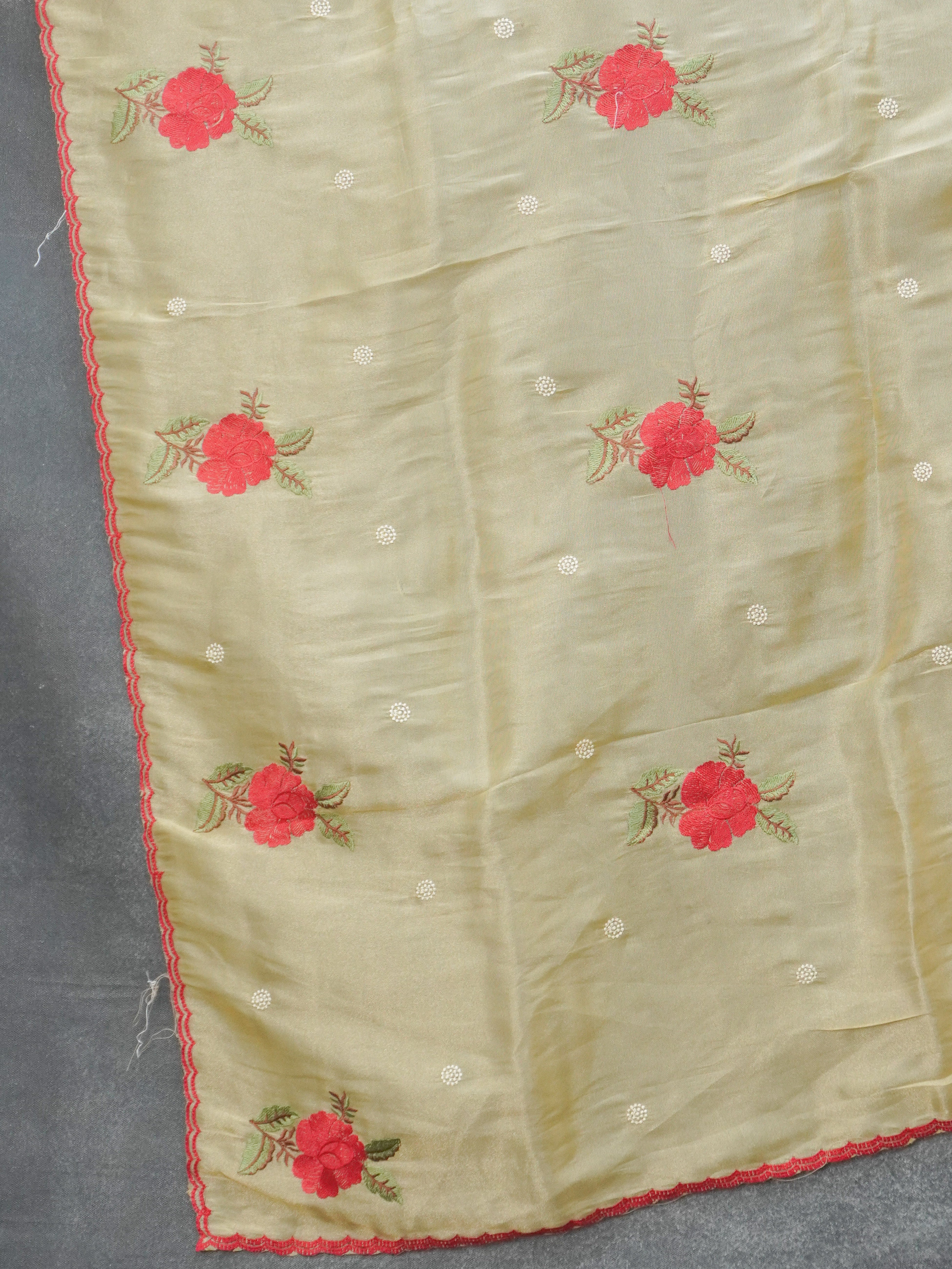 Organza Saree | TTDS3485