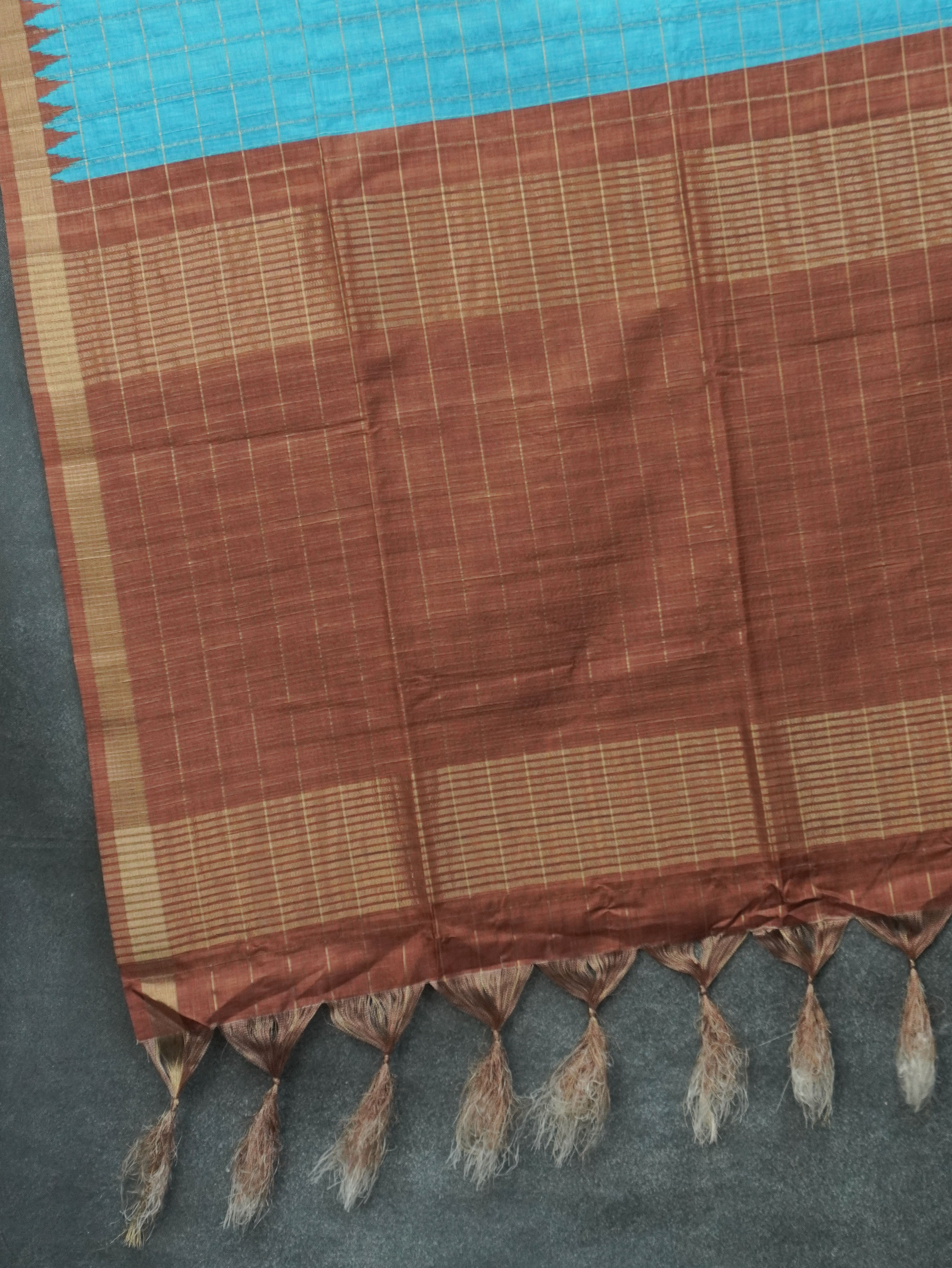 Tussar Saree | TTDS3499