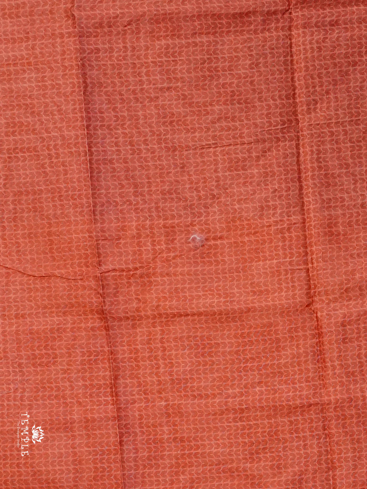 Printed Tussar Silk Saree | TTDS3070