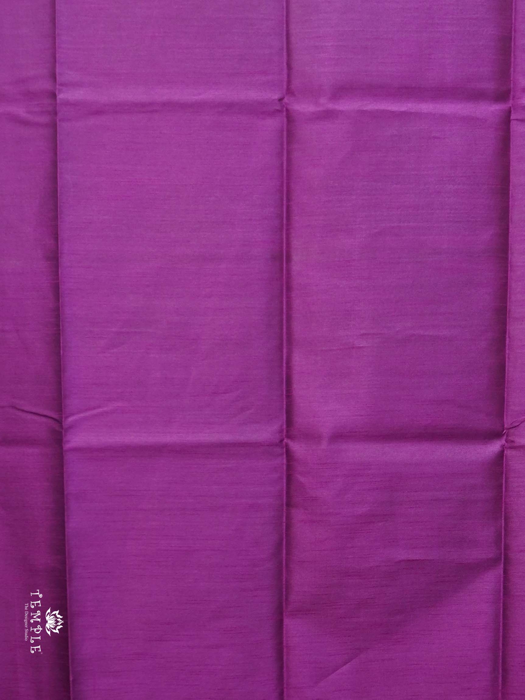 Raw Silk Saree with sequins Work | TTDS2100