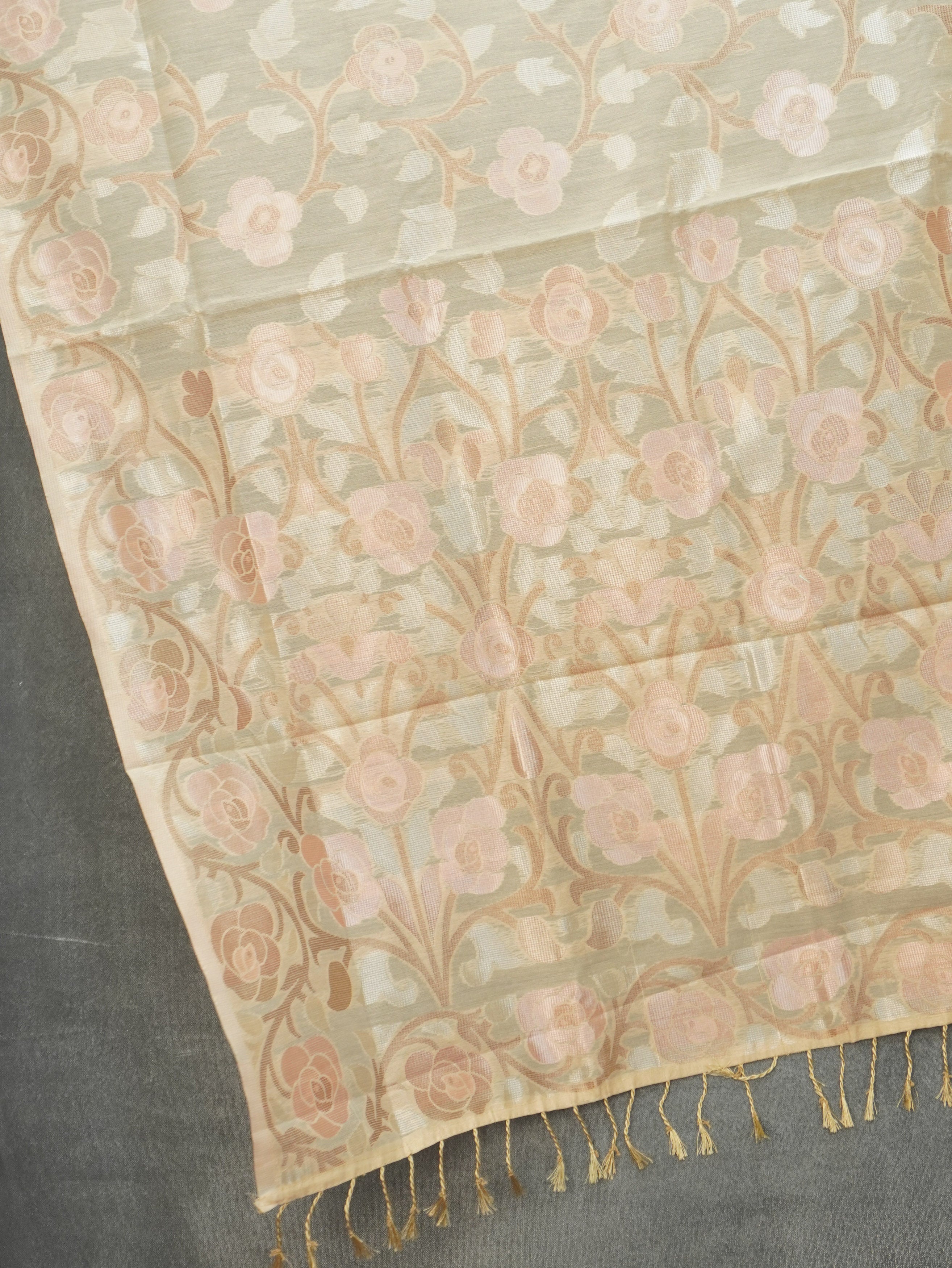 Chanderi Silk Cotton Saree | TTDS3521