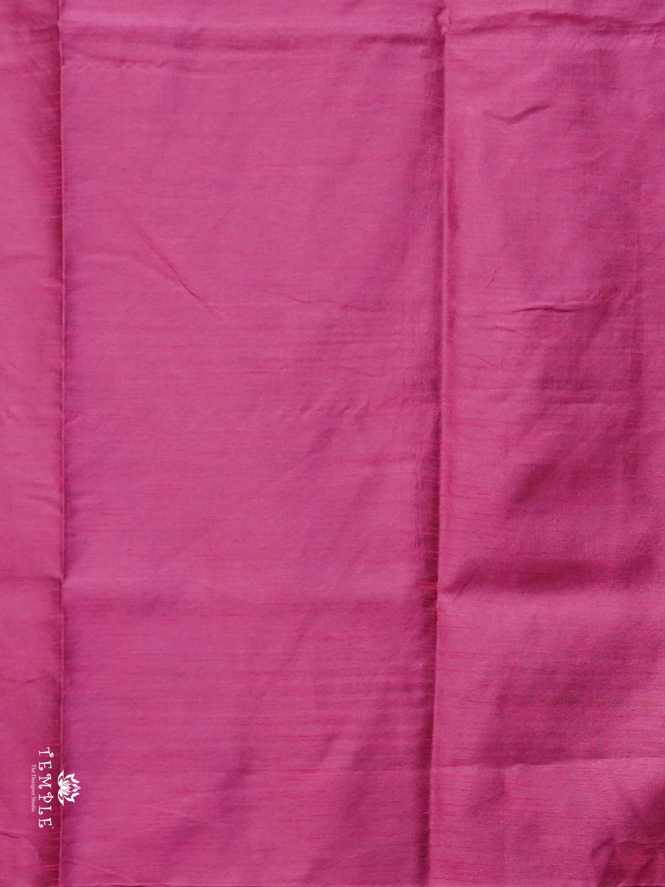 Raw Silk Saree with sequins Work | TTDS2100