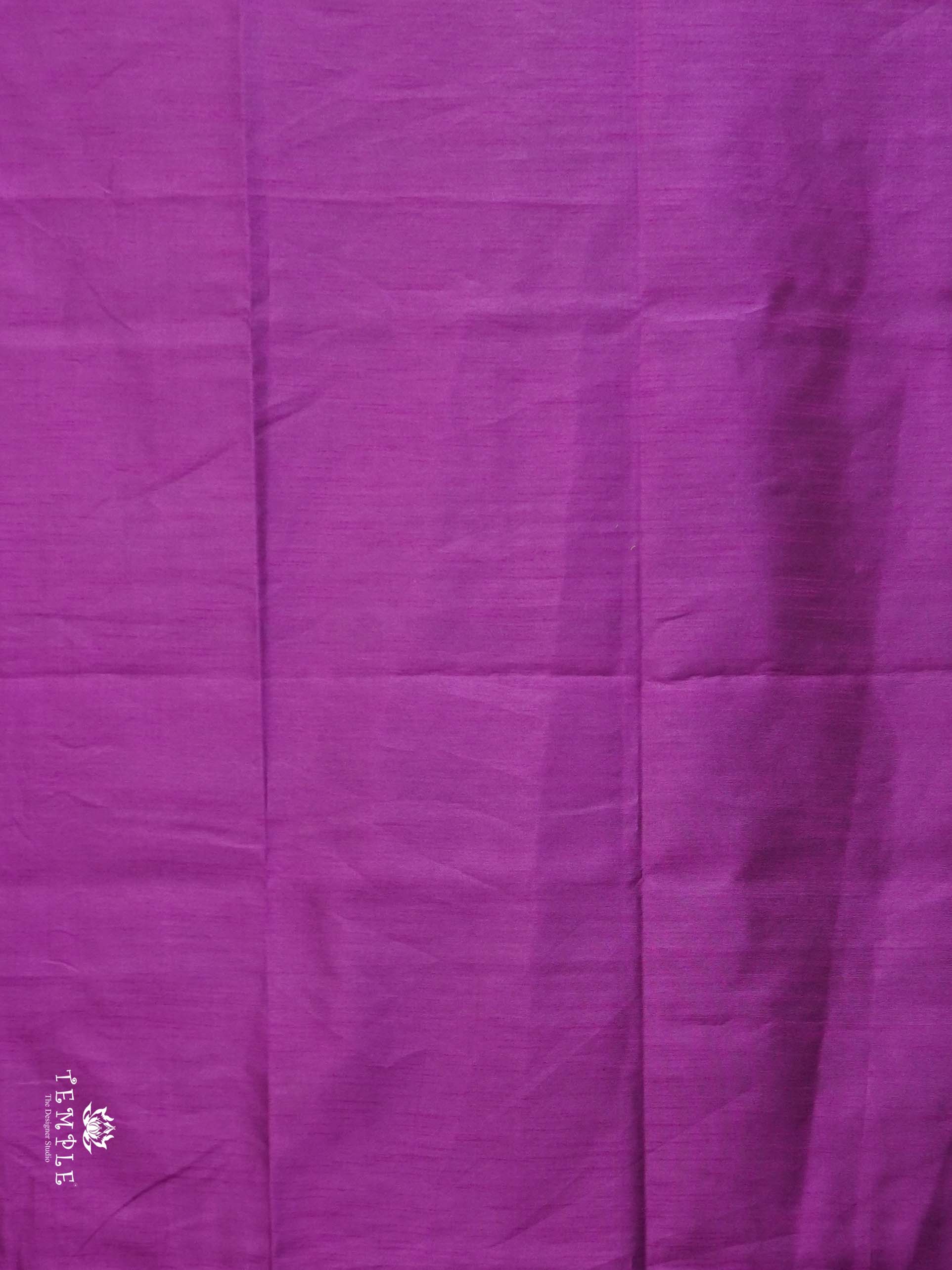 Raw Silk Saree with sequins Work | TTDS2100