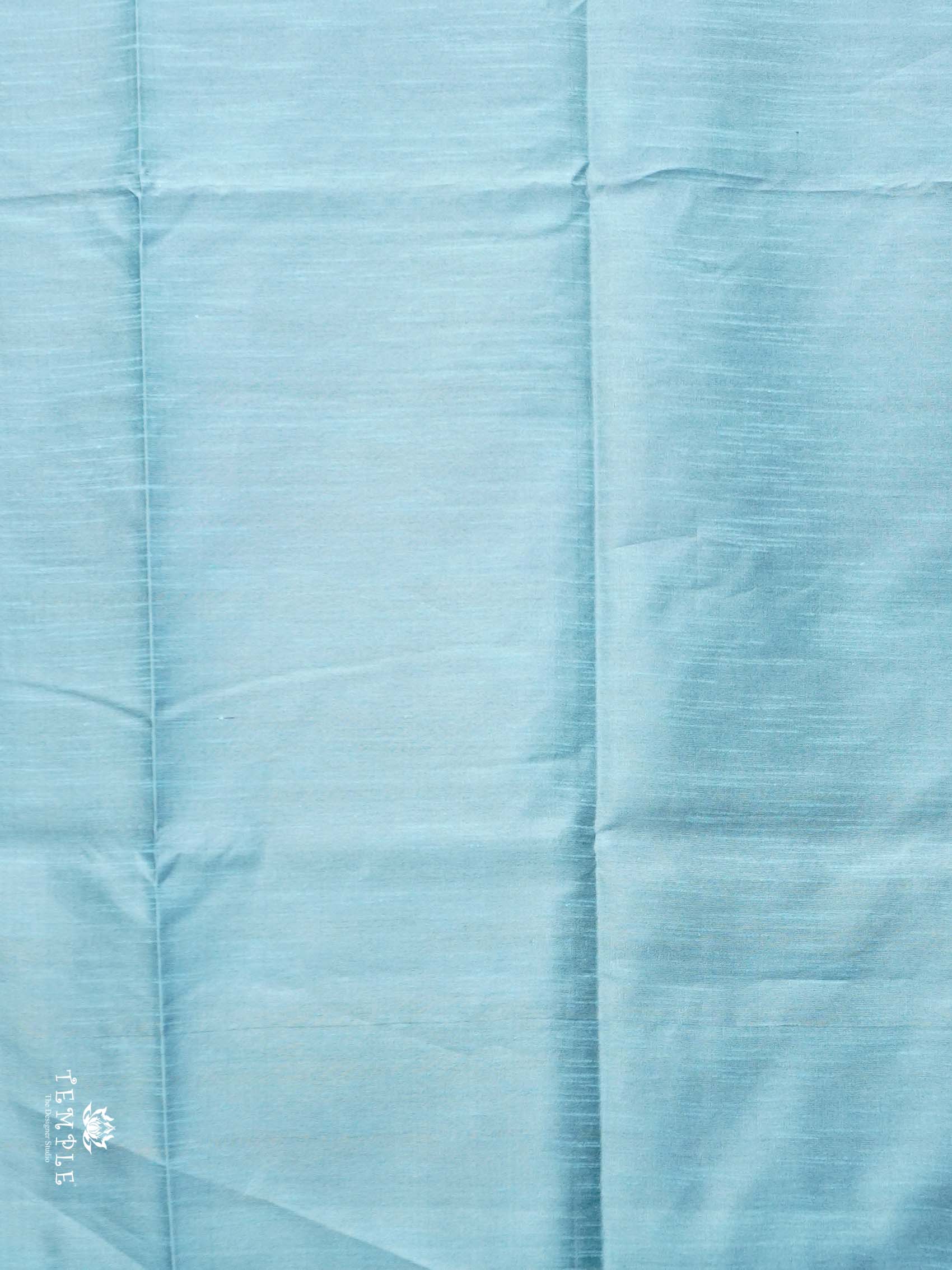 Raw Silk Saree with sequins Work | TTDS2100