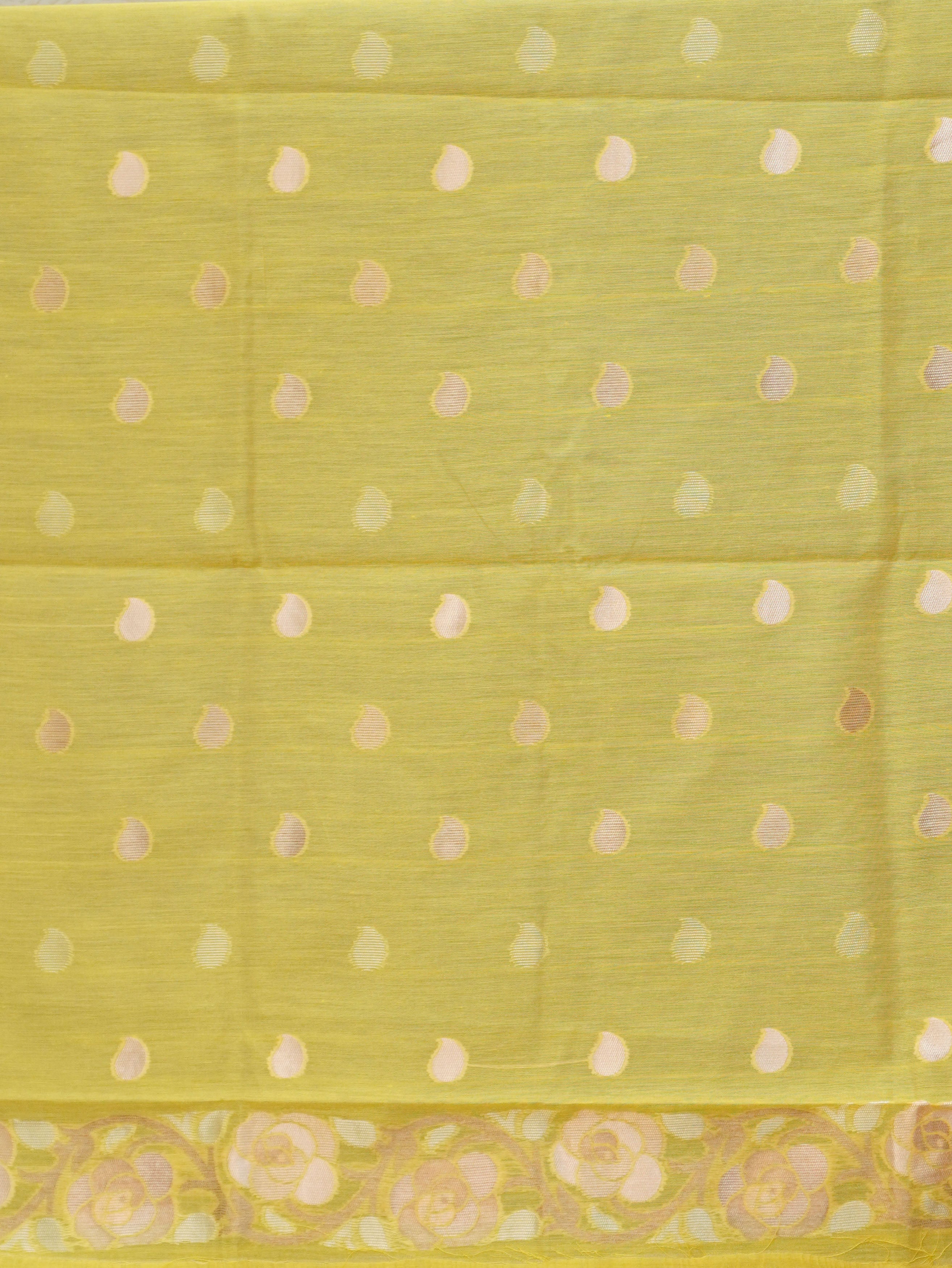 Chanderi Silk Cotton Saree | TTDS3521