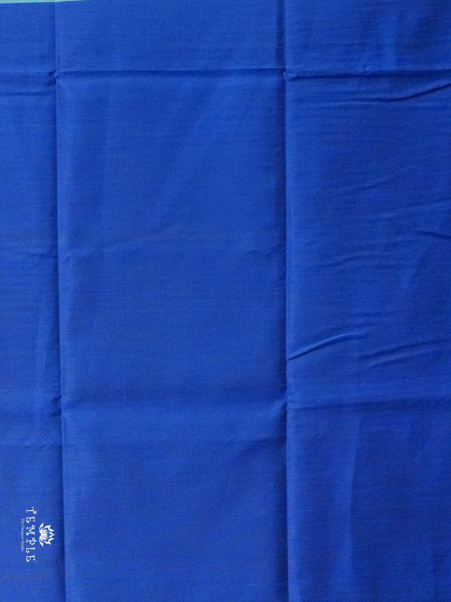 Raw Silk Saree with sequins Work | TTDS2100 .