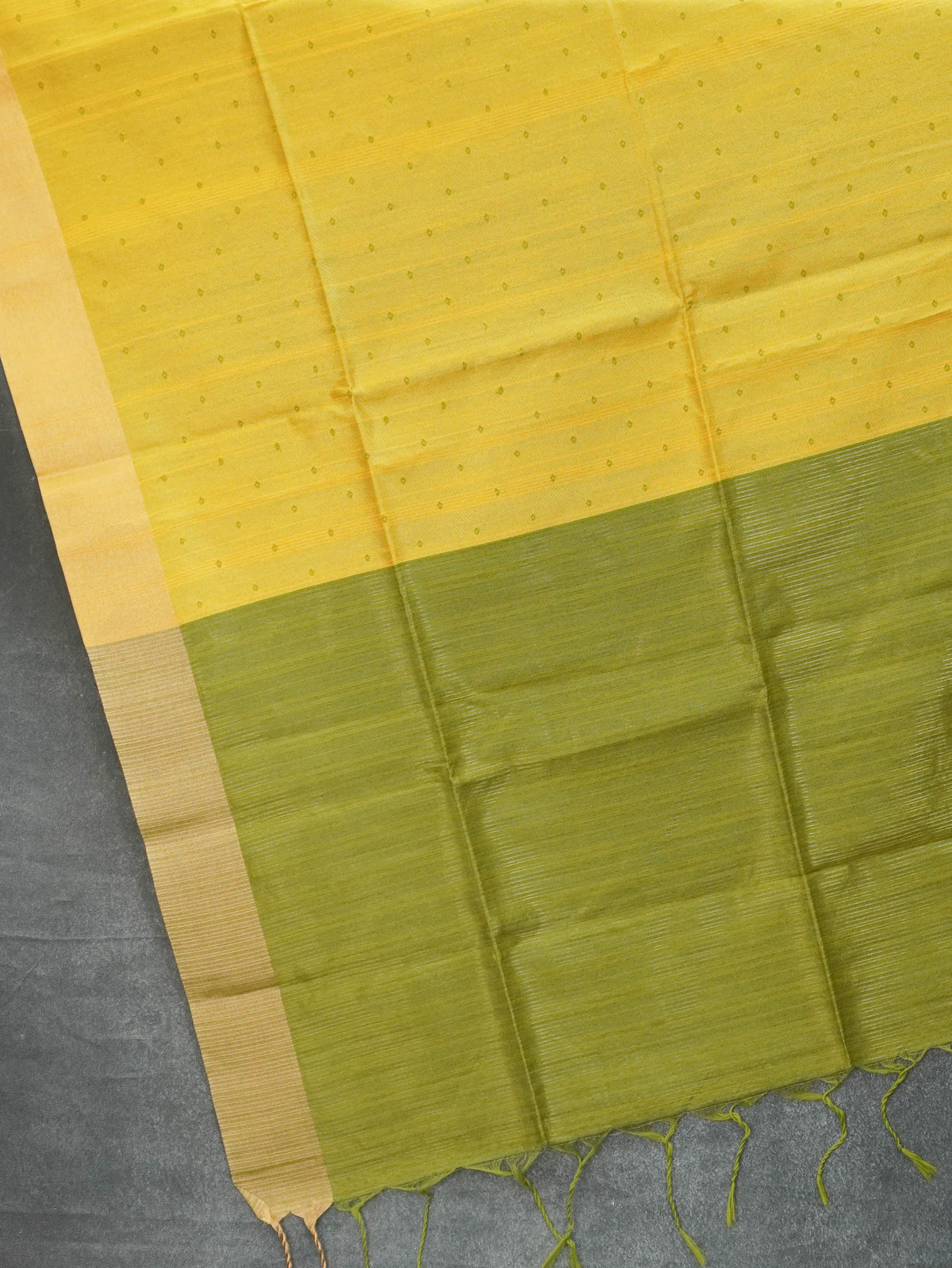 Dupion Silk Saree | TTDS3572