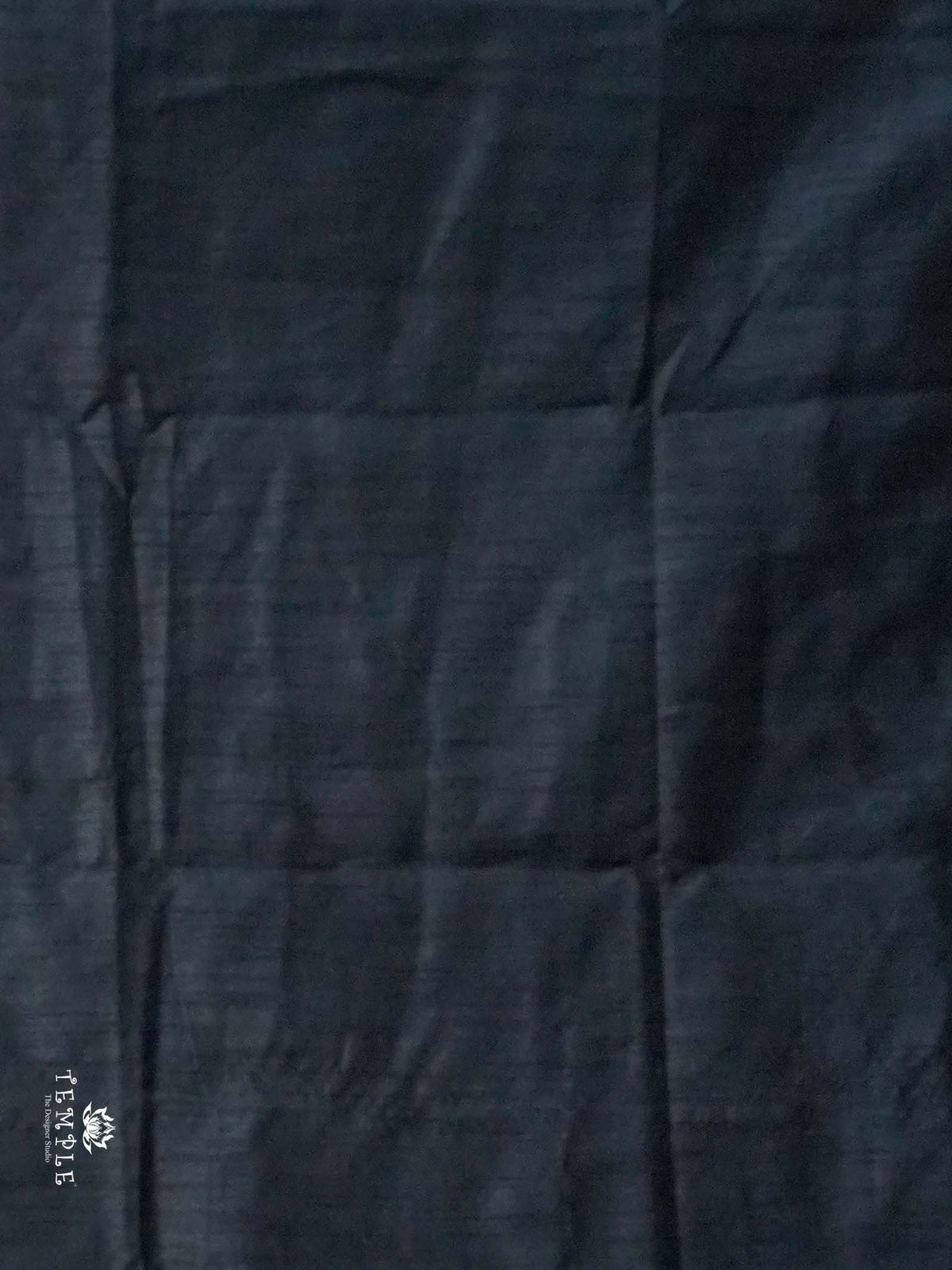 Raw Silk Saree with sequins Work | TTDS2100