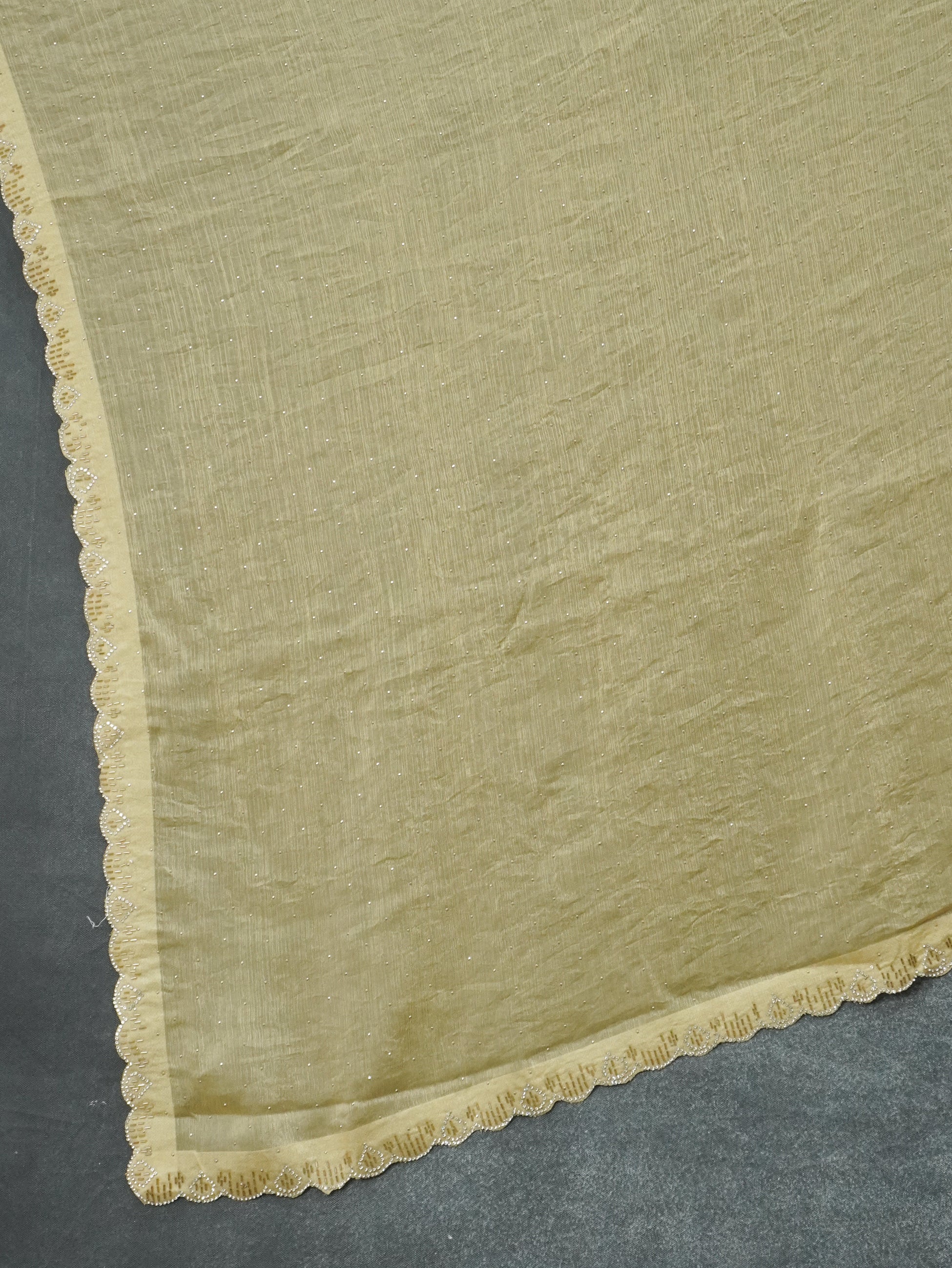 Designer Saree | TTDS3175